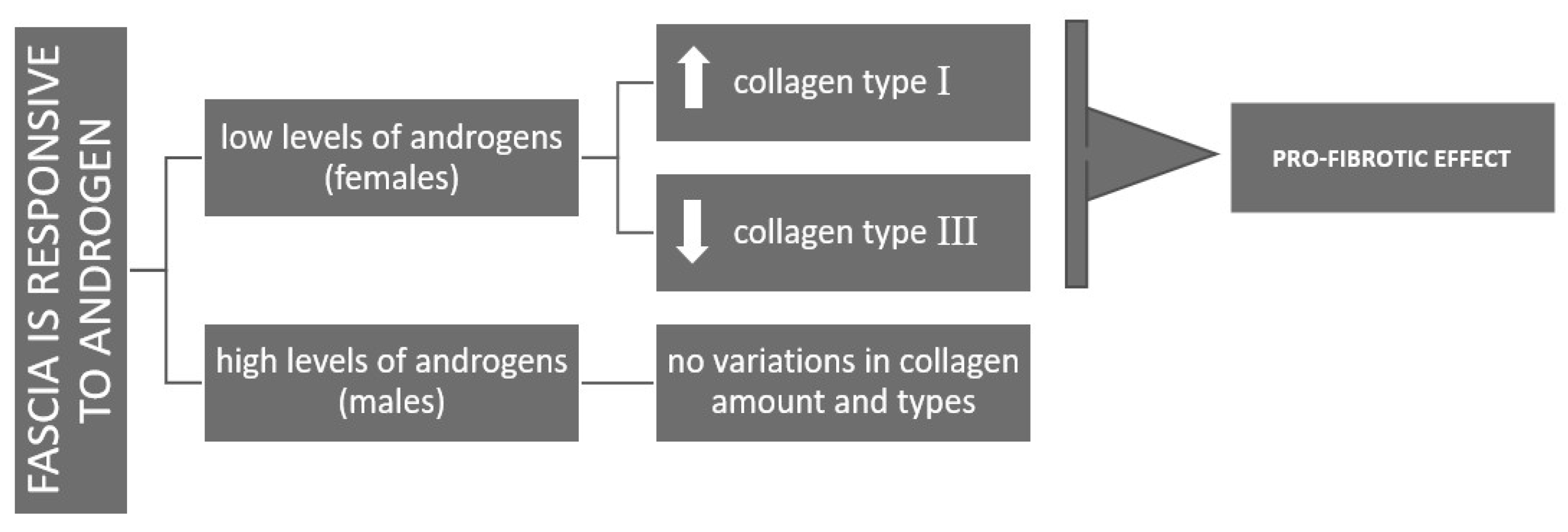 Biology 14 00746 g007