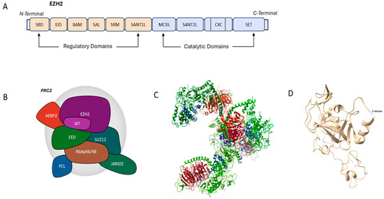 Biology 14 00749 g001