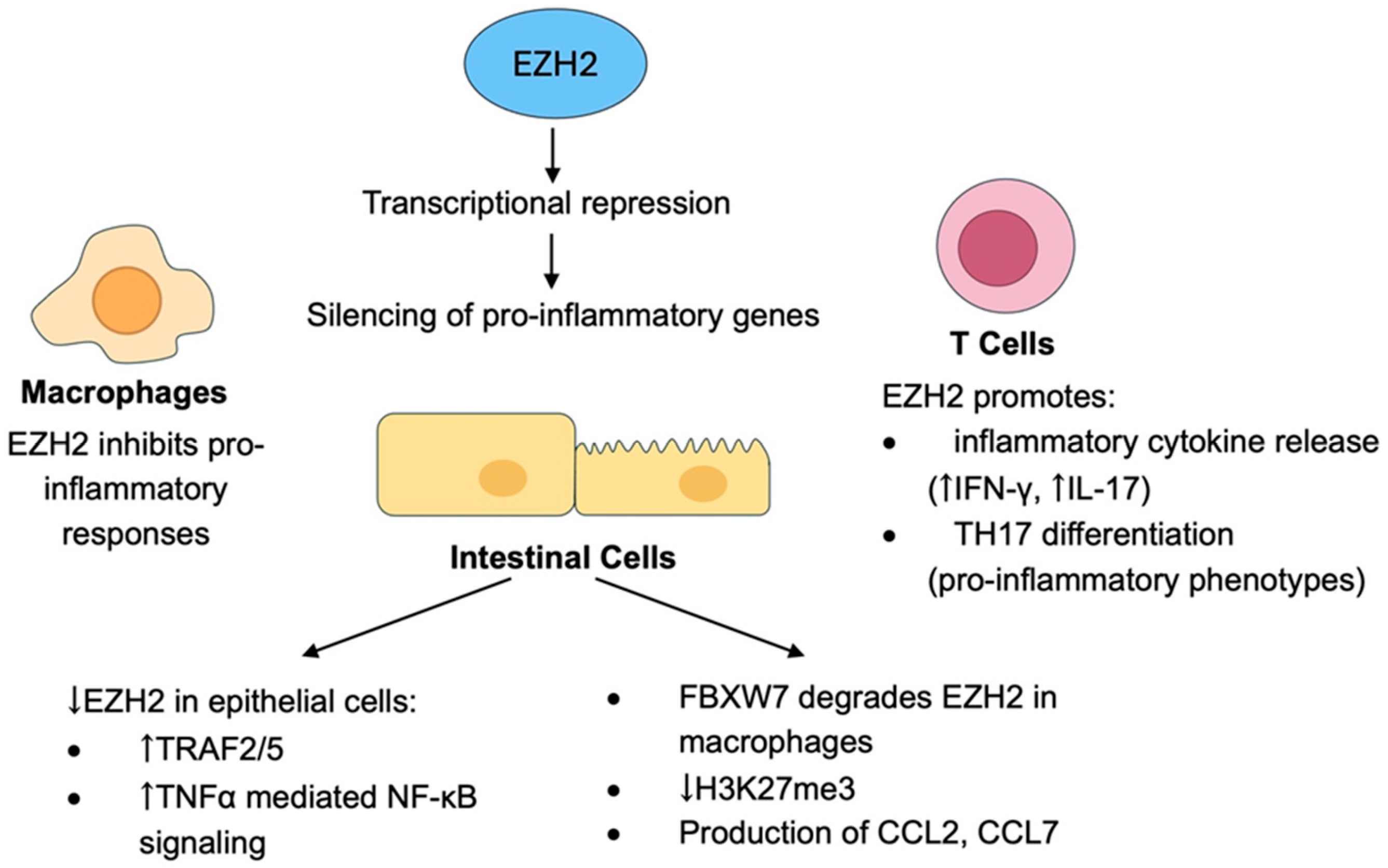 Biology 14 00749 g002