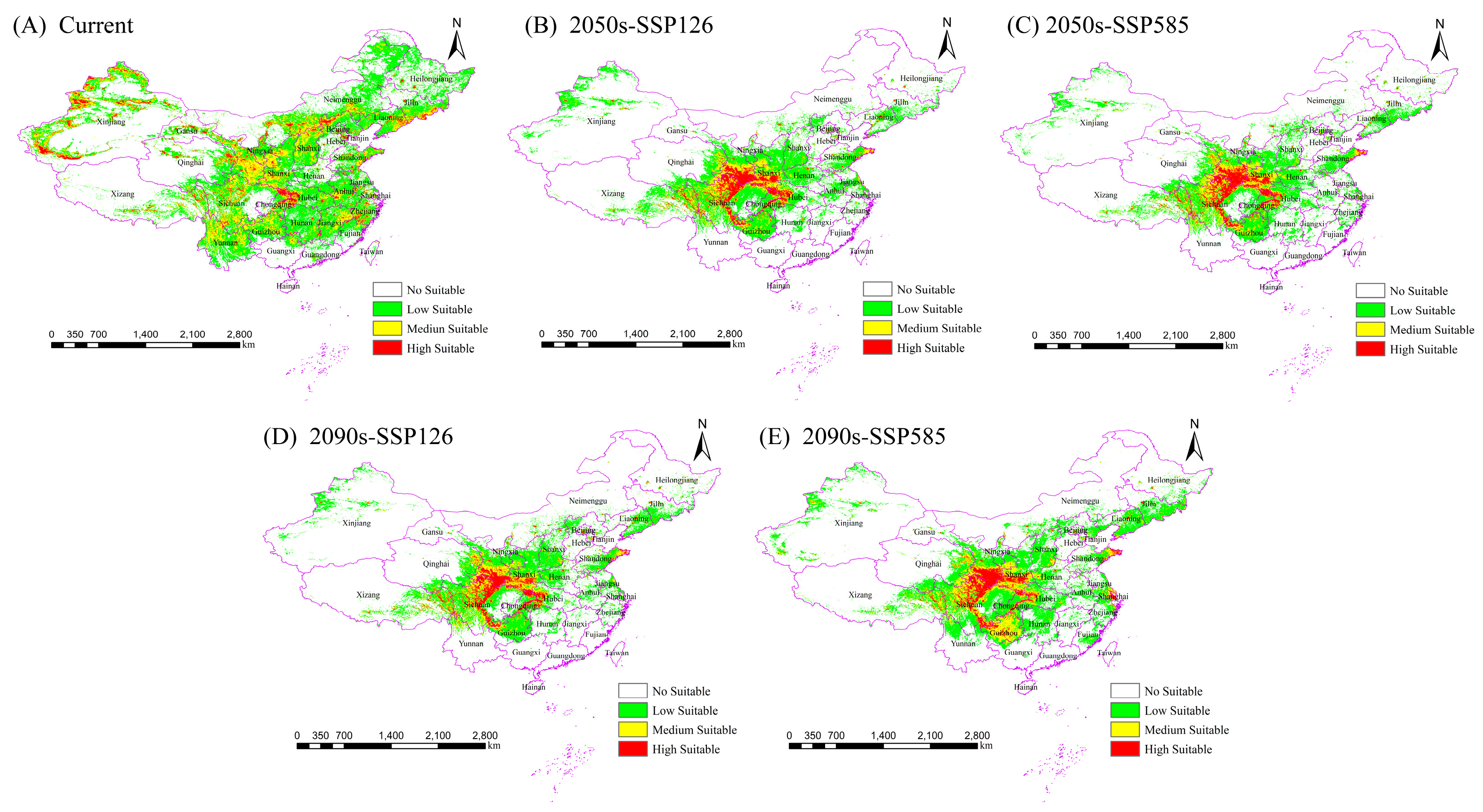 Biology 14 00754 g004