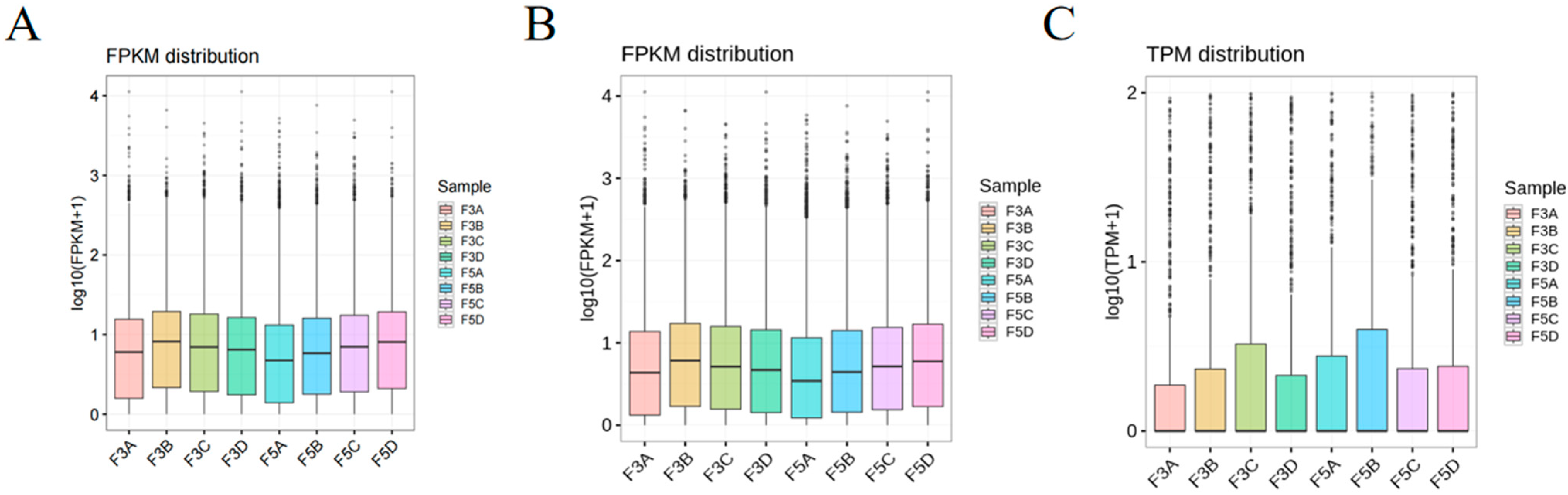 Biology 14 00760 g002
