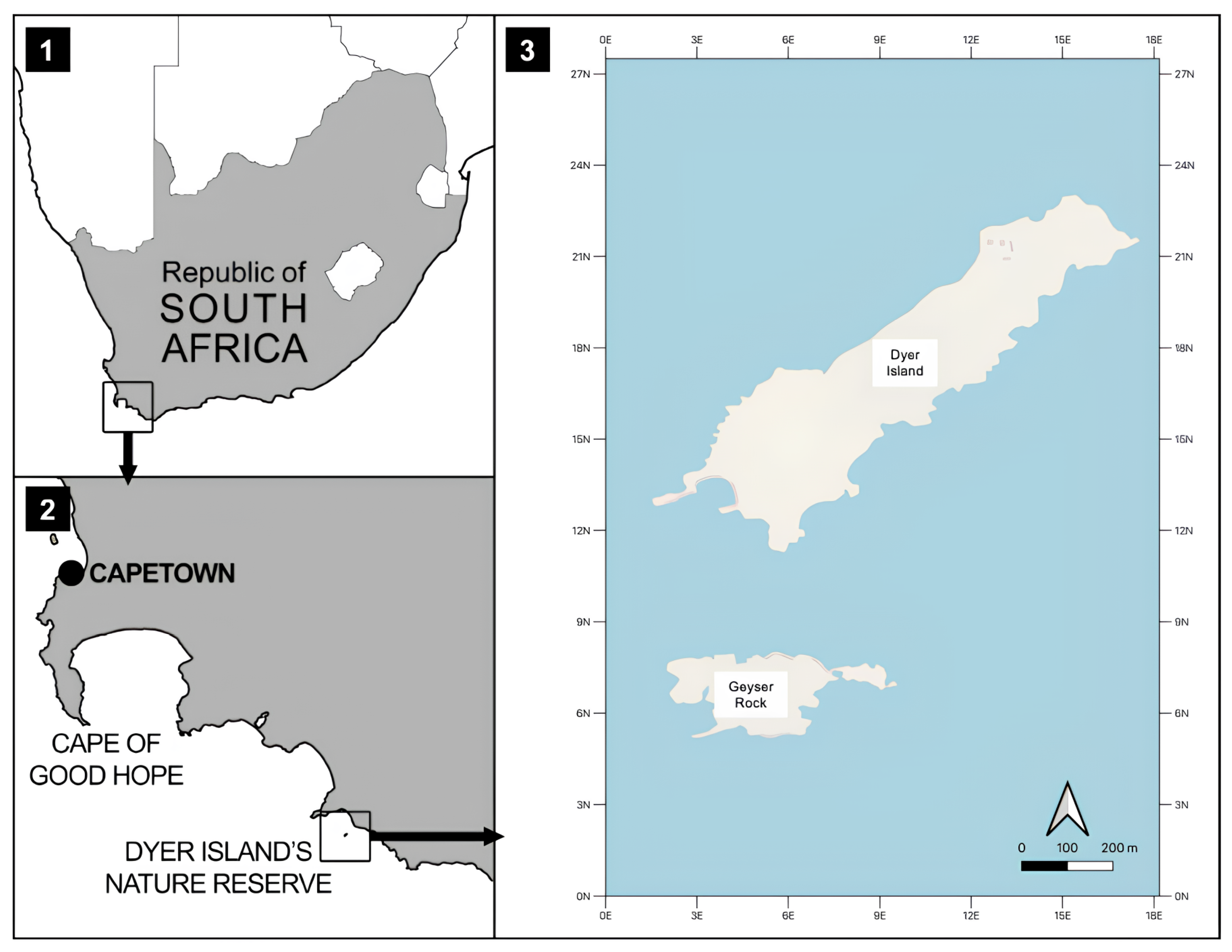 Biology 14 00762 g001
