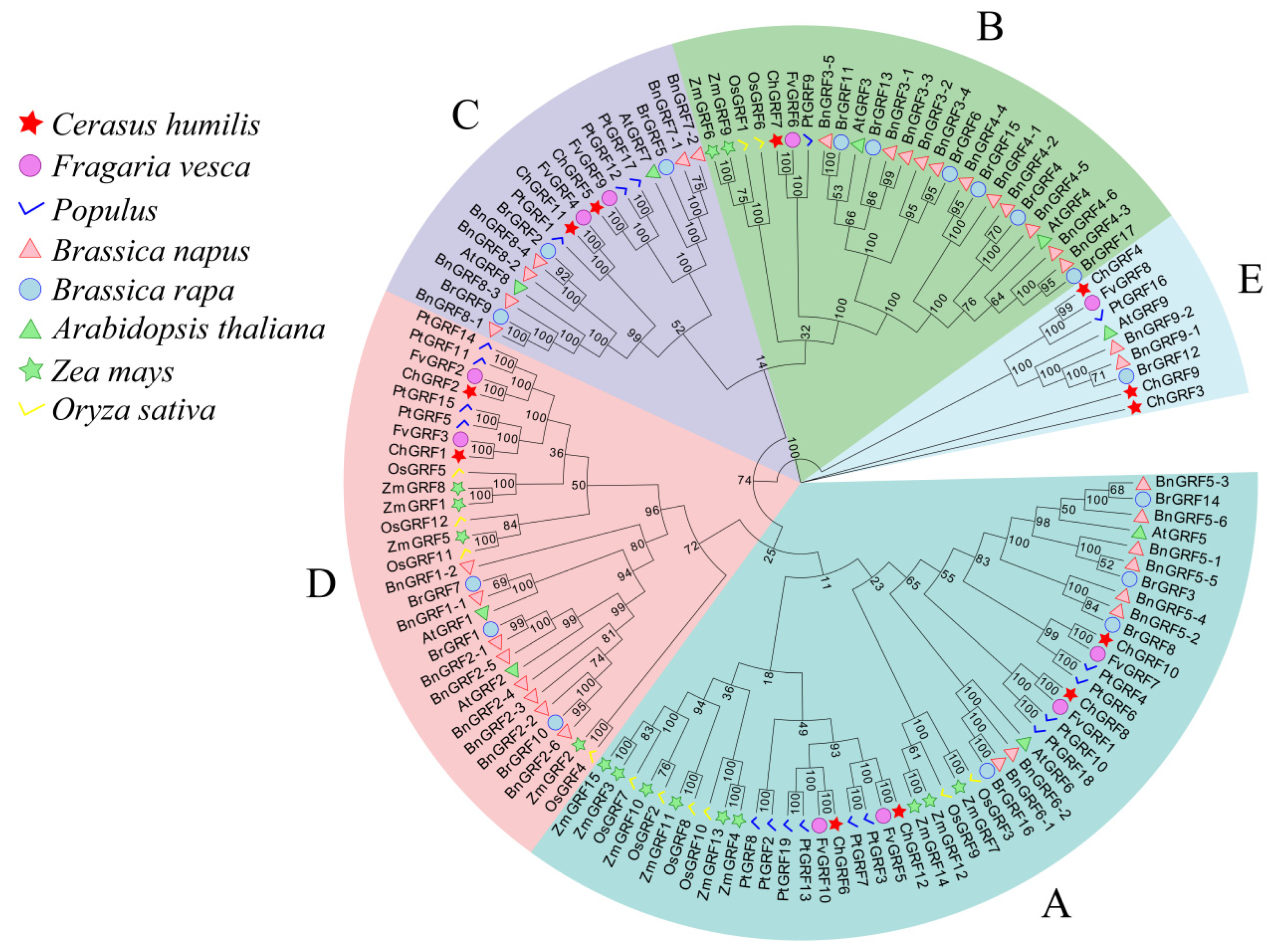 Biology 14 00763 g001