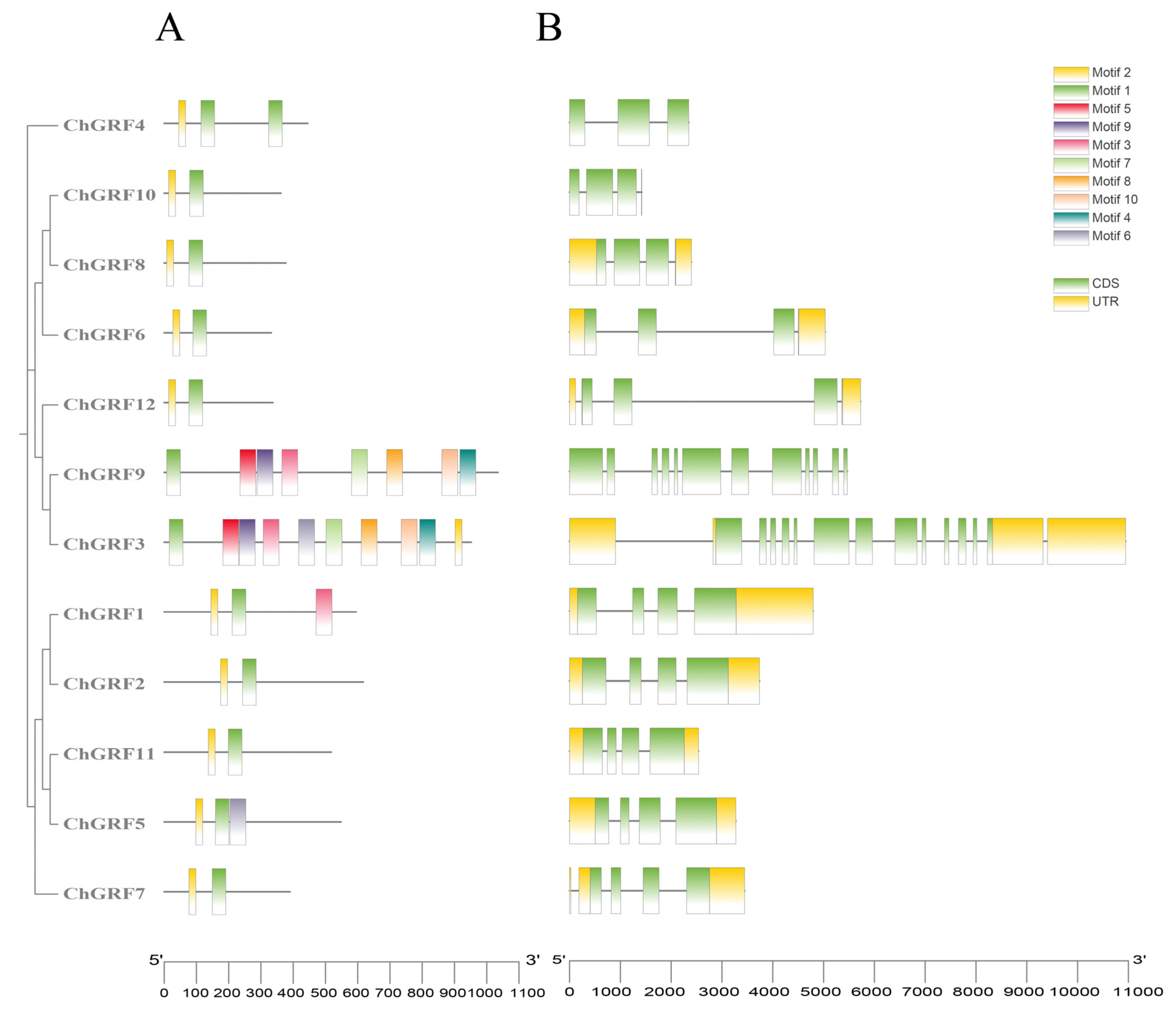 Biology 14 00763 g004