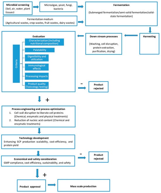 Biology 14 00764 g004