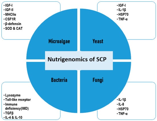 Biology 14 00764 g006