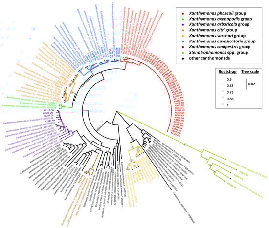 Biology 14 00766 g003