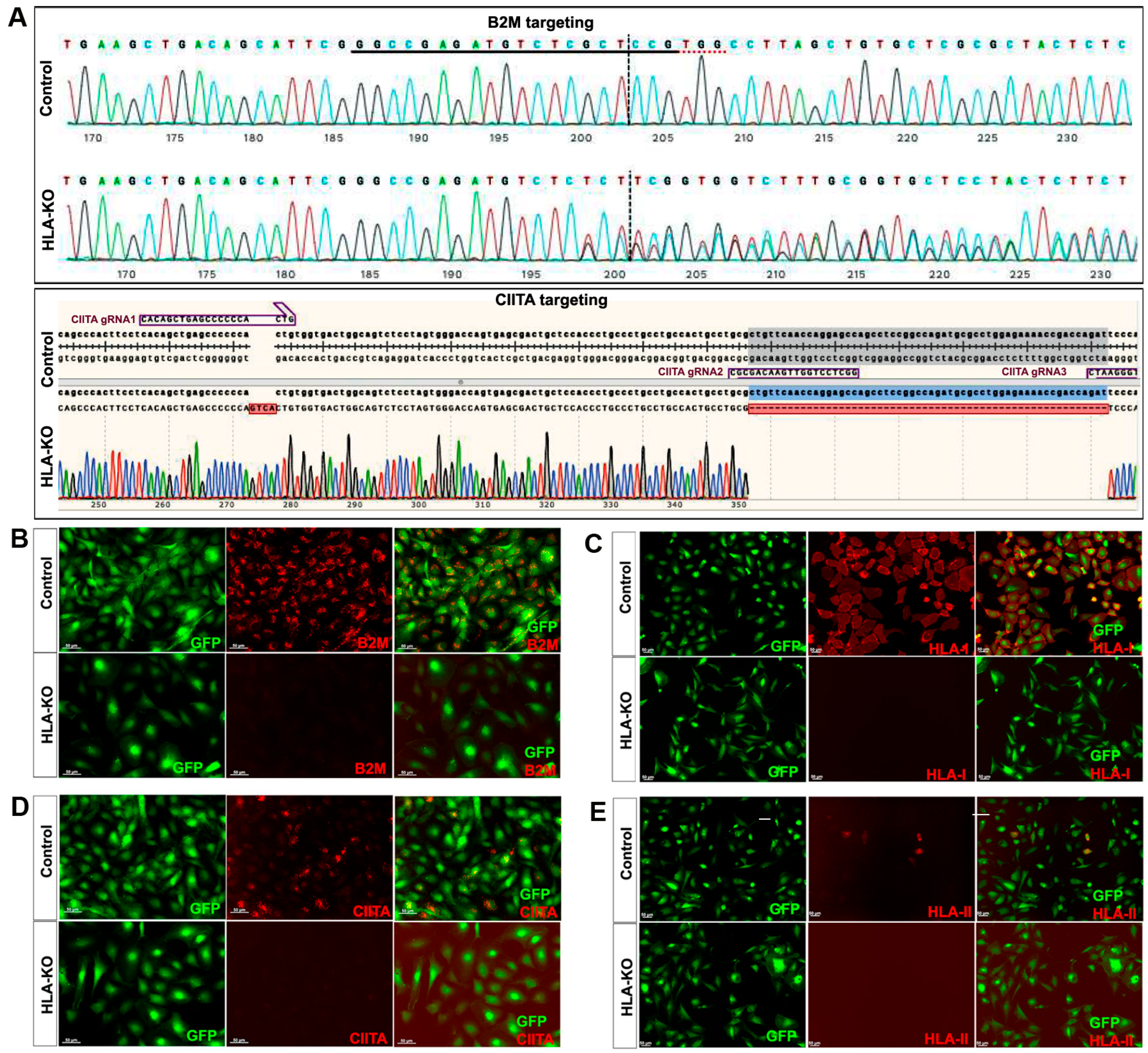 Biology 14 00791 g001