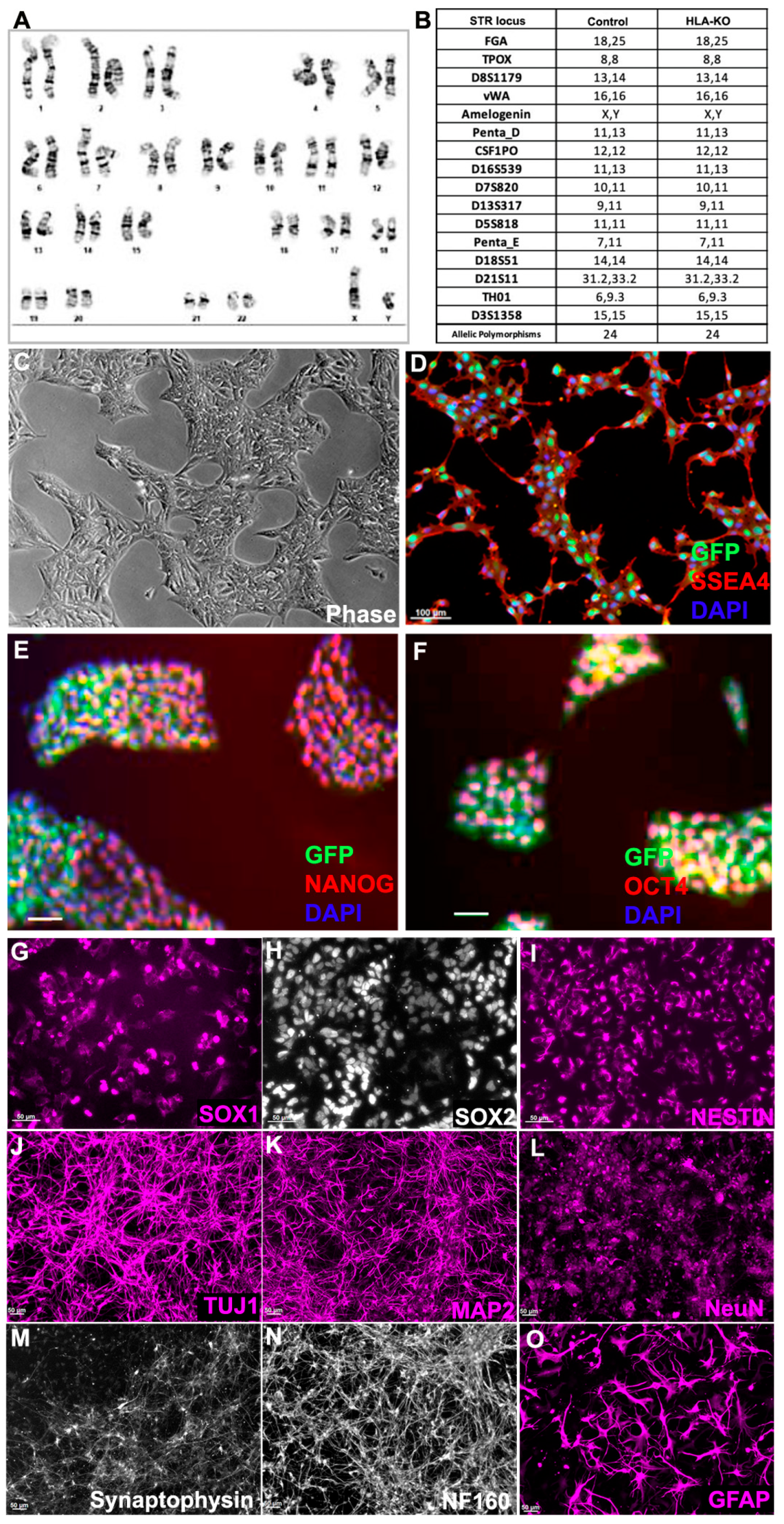 Biology 14 00791 g002