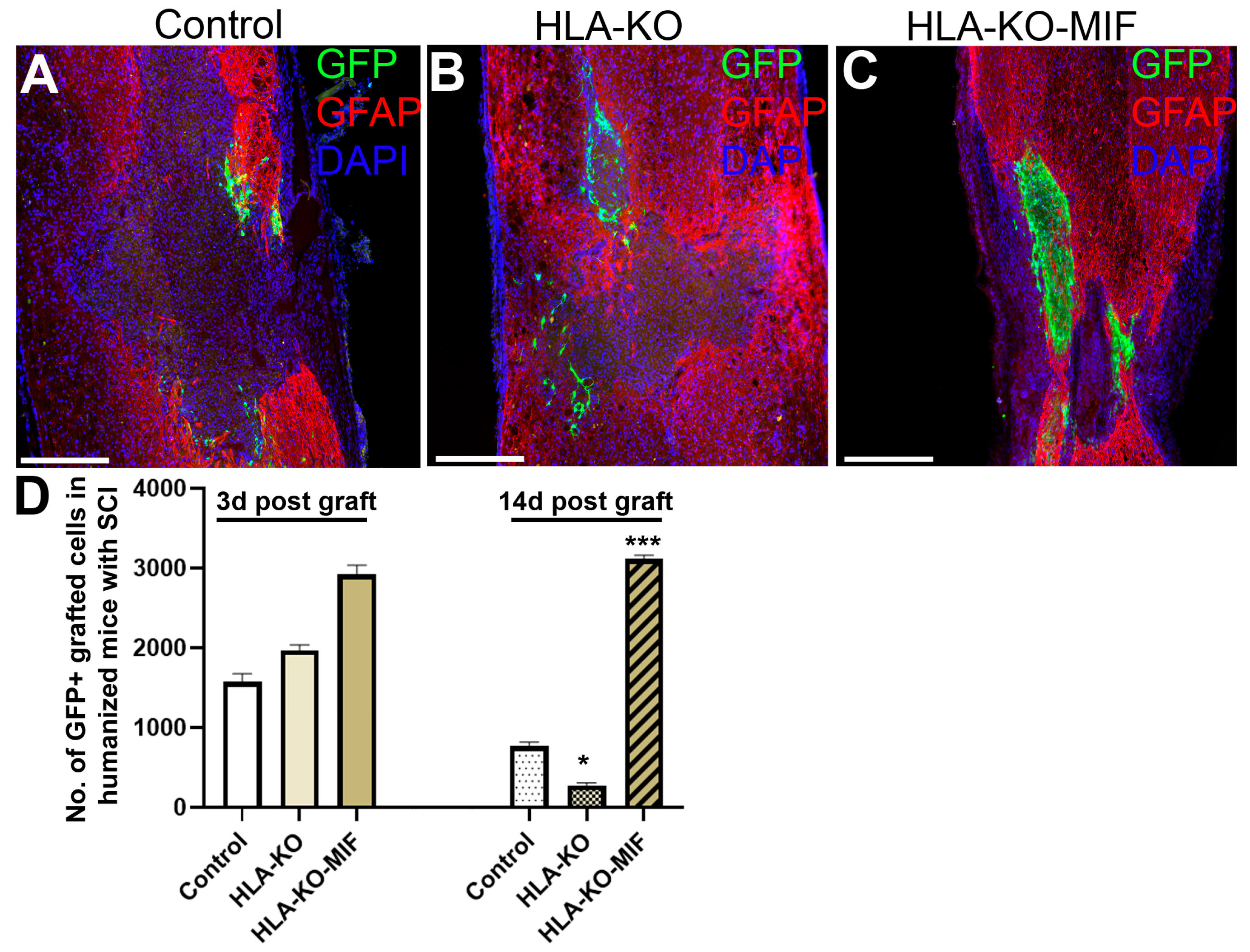 Biology 14 00791 g008