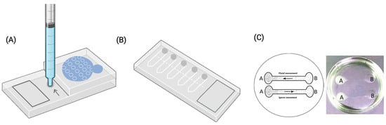 Biology 14 00792 g0a1