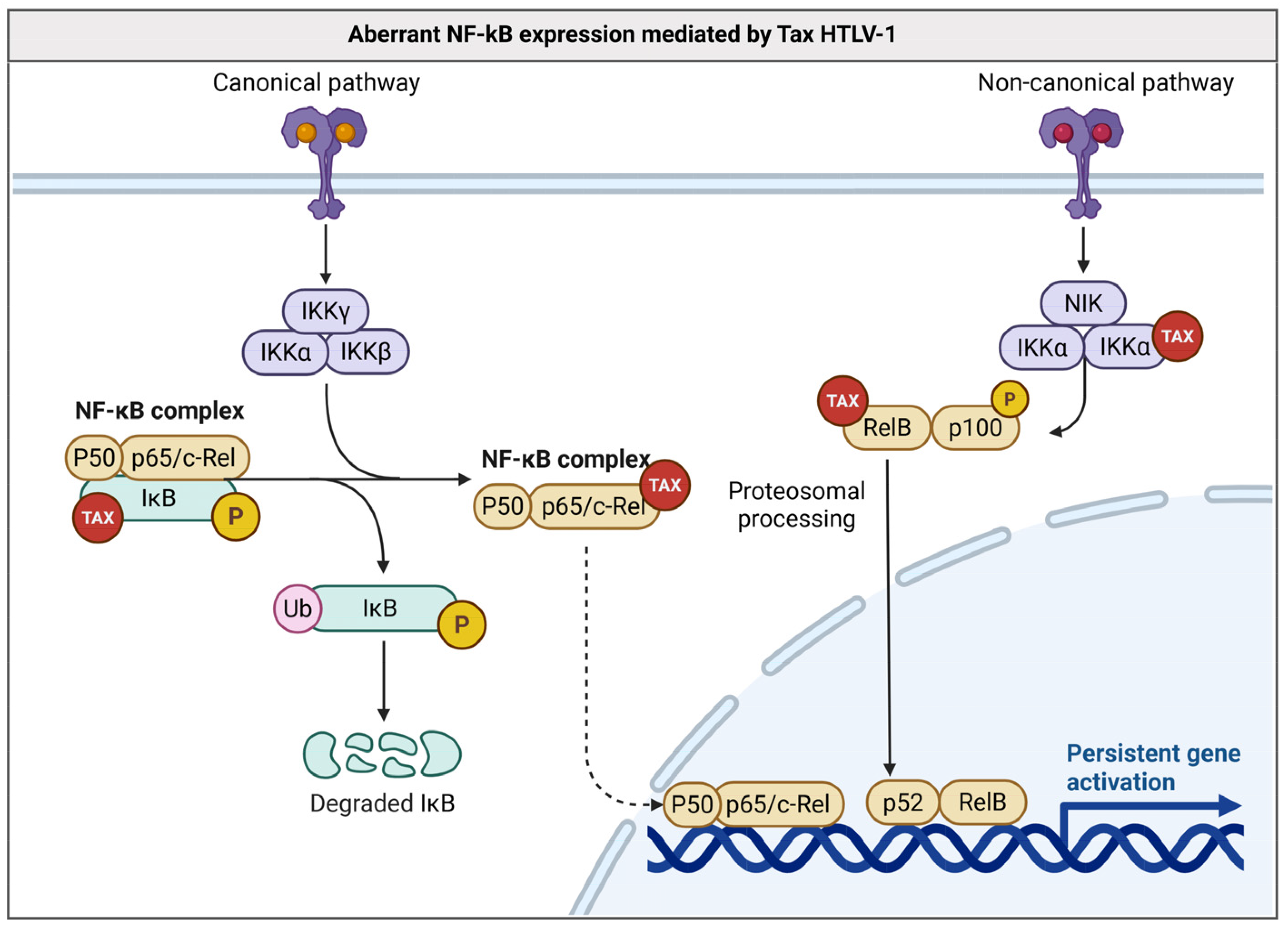Biology 14 00797 g002