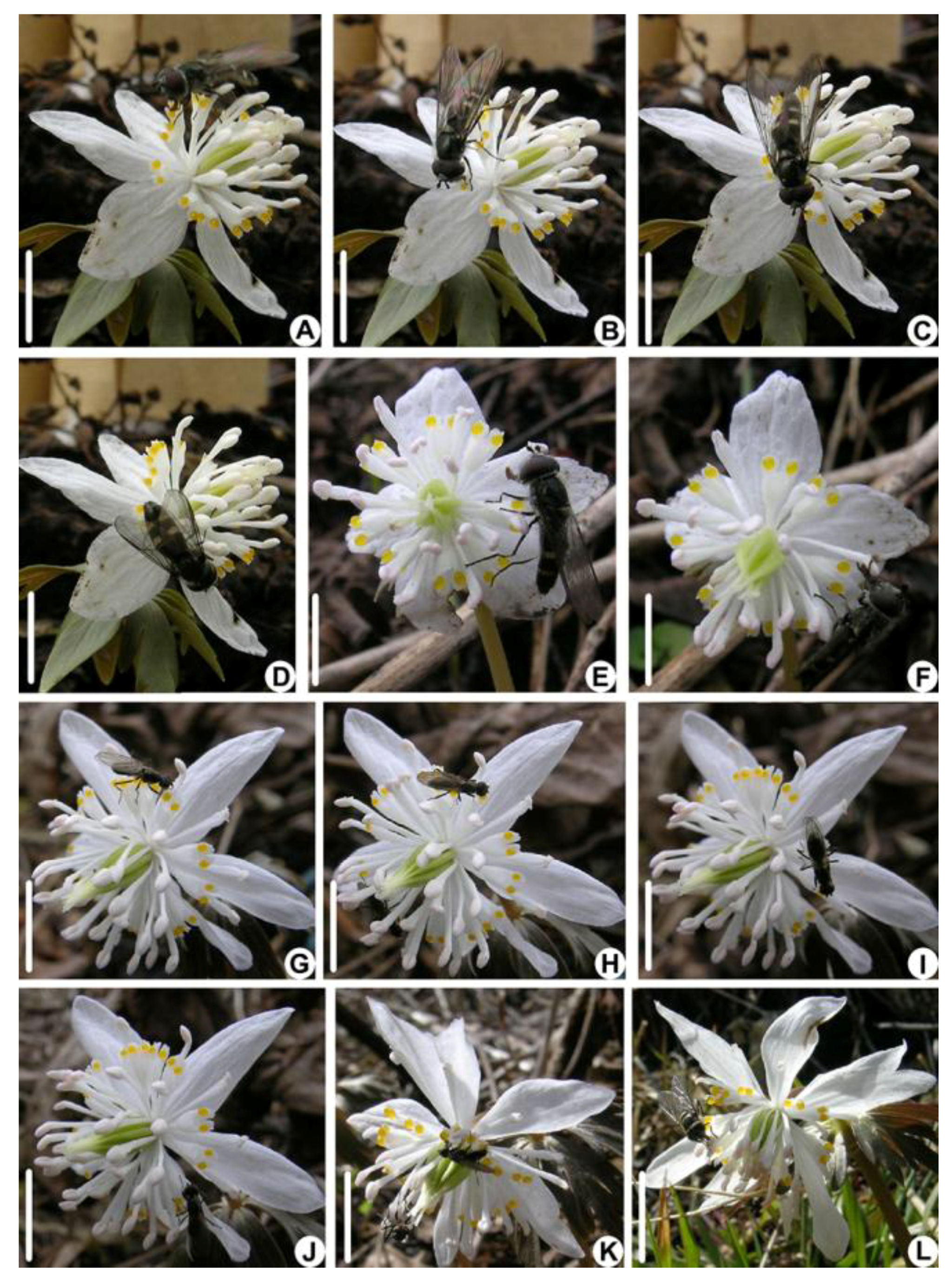 Biology 14 00804 g004