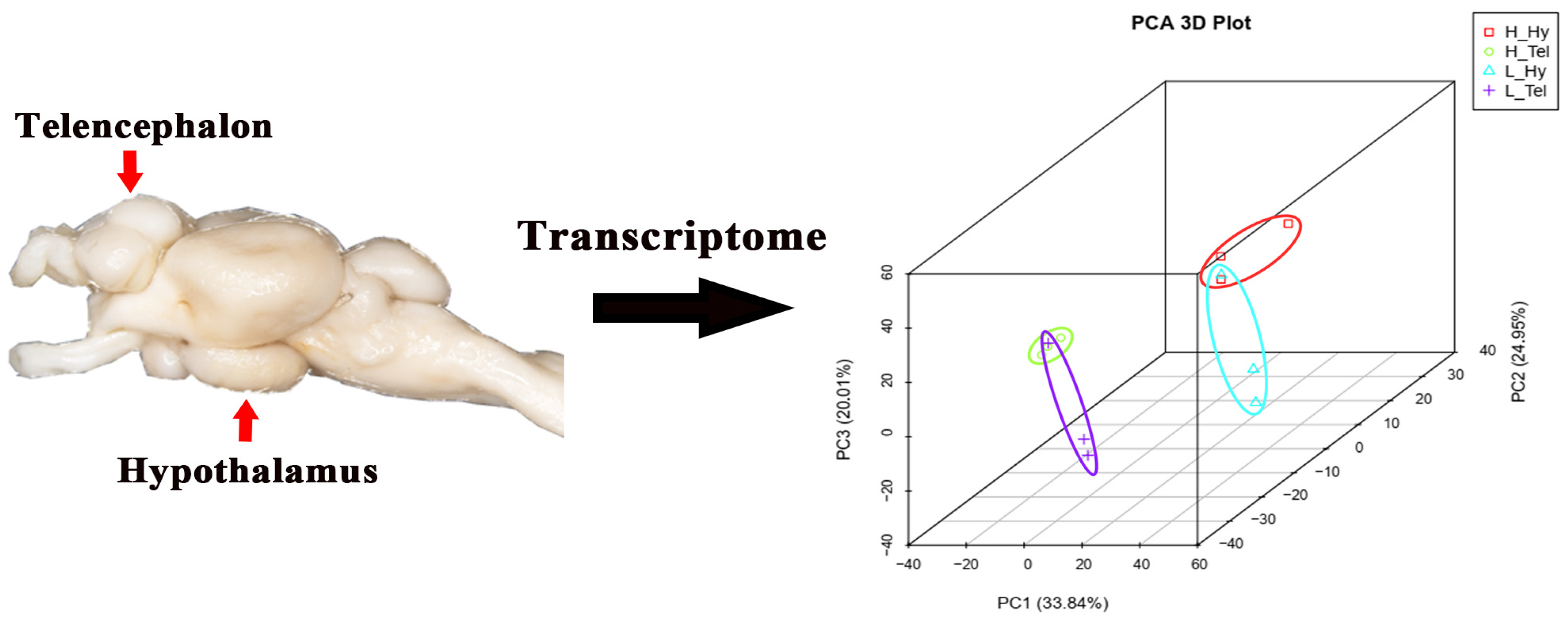 Biology 14 00809 g001