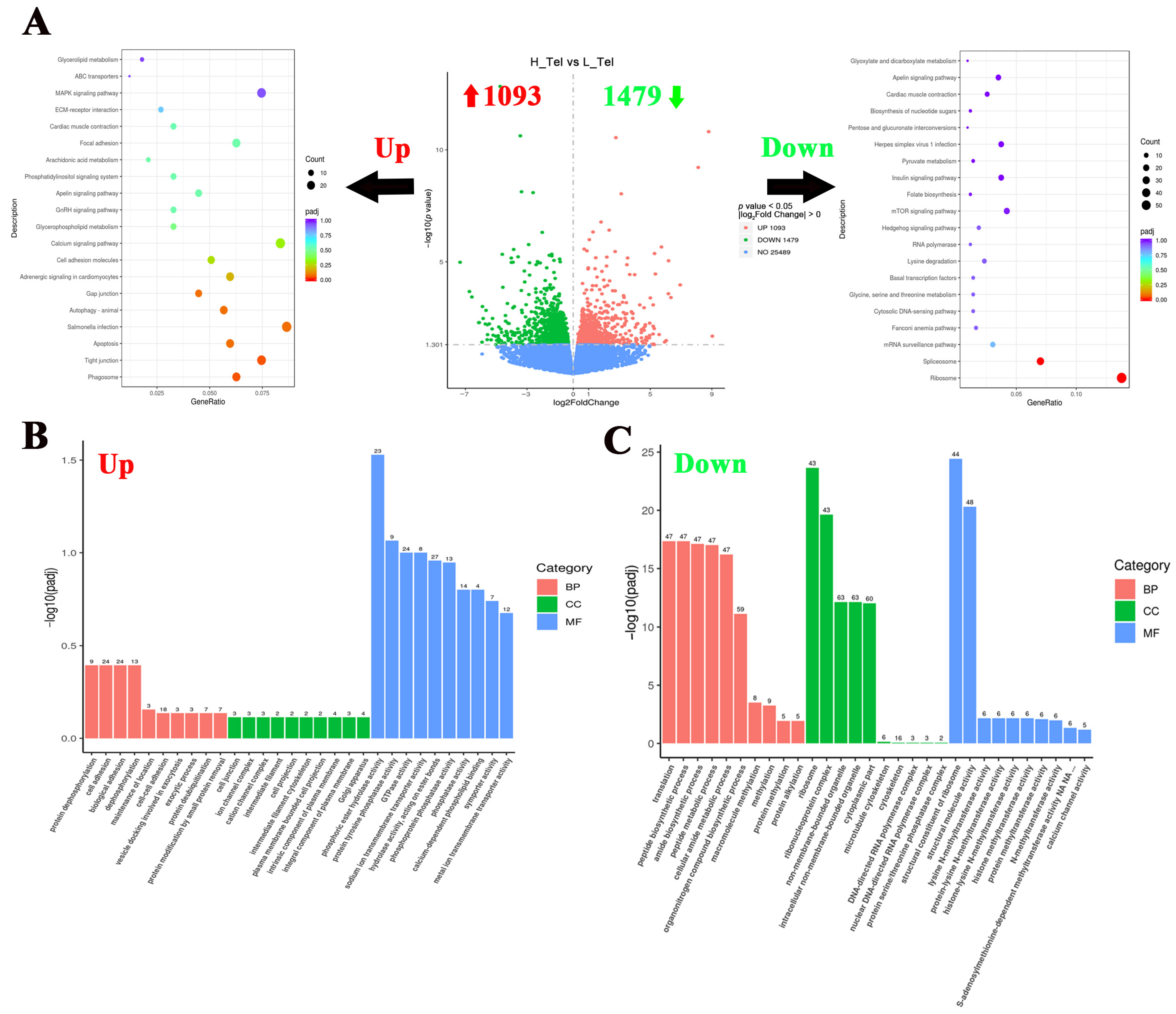 Biology 14 00809 g002