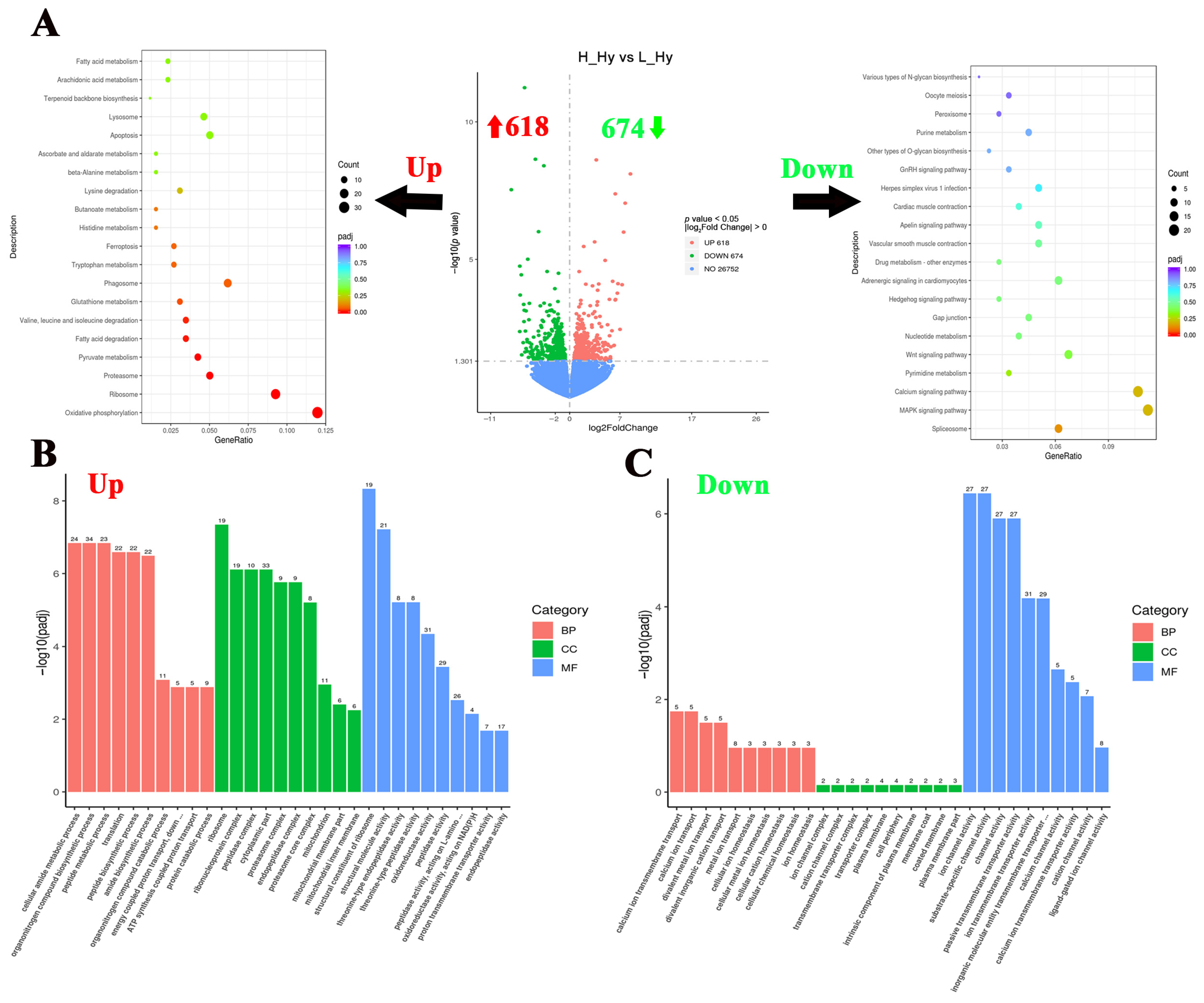 Biology 14 00809 g003