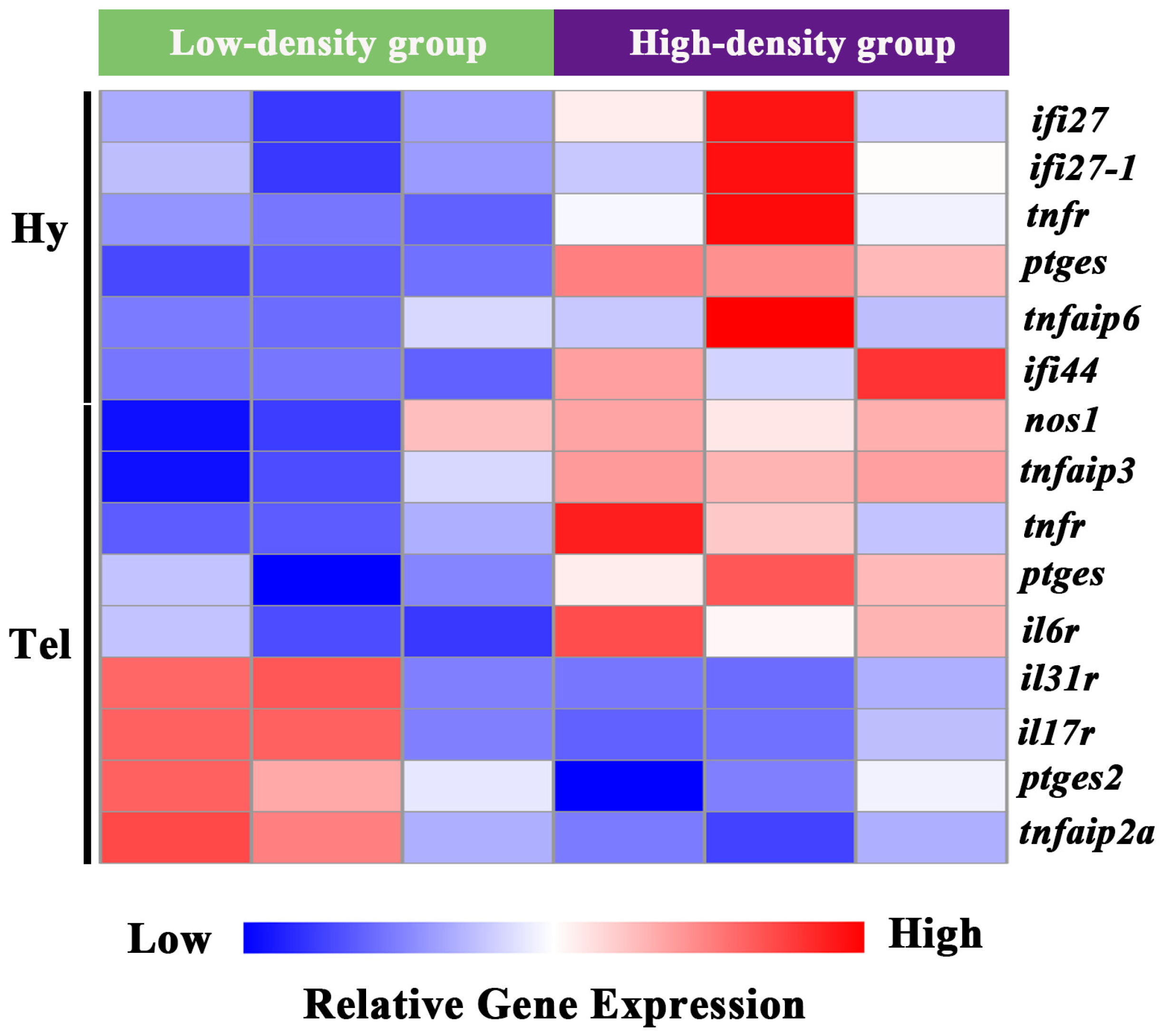 Biology 14 00809 g004