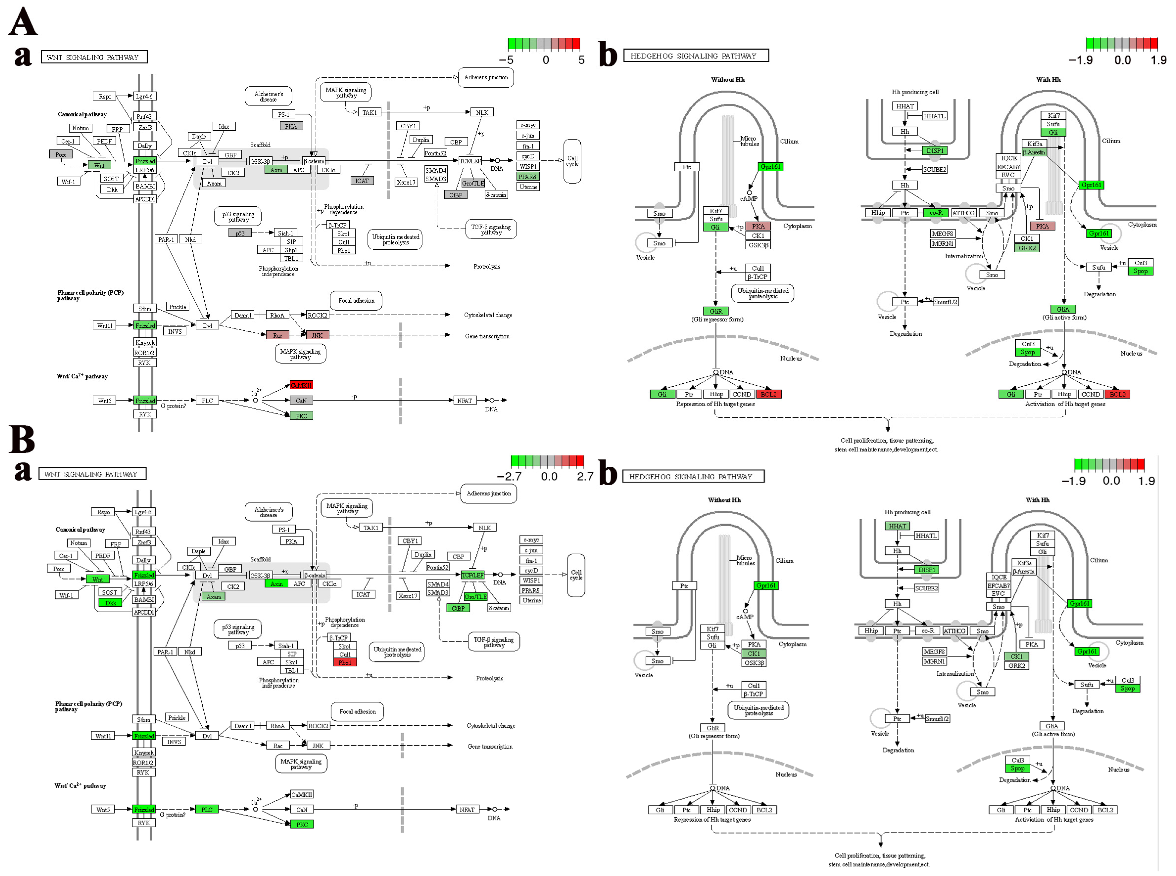 Biology 14 00809 g005