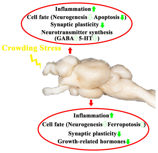 Biology 14 00809 g008