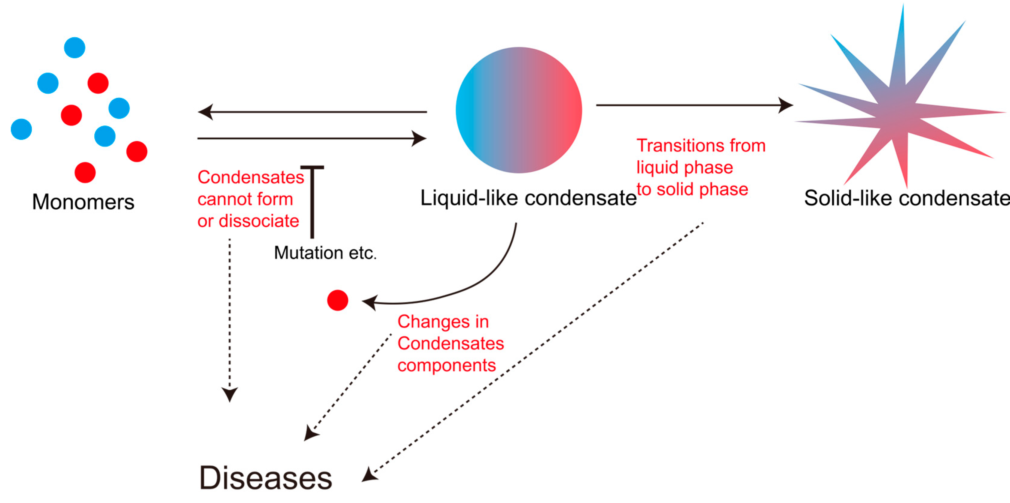 Biology 14 00810 g003
