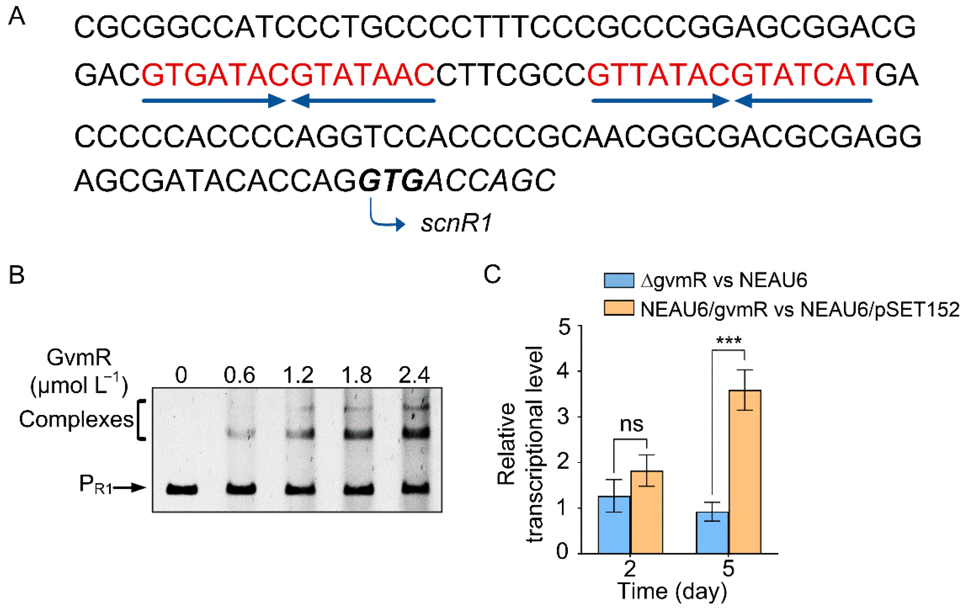 Biology 14 00813 g001