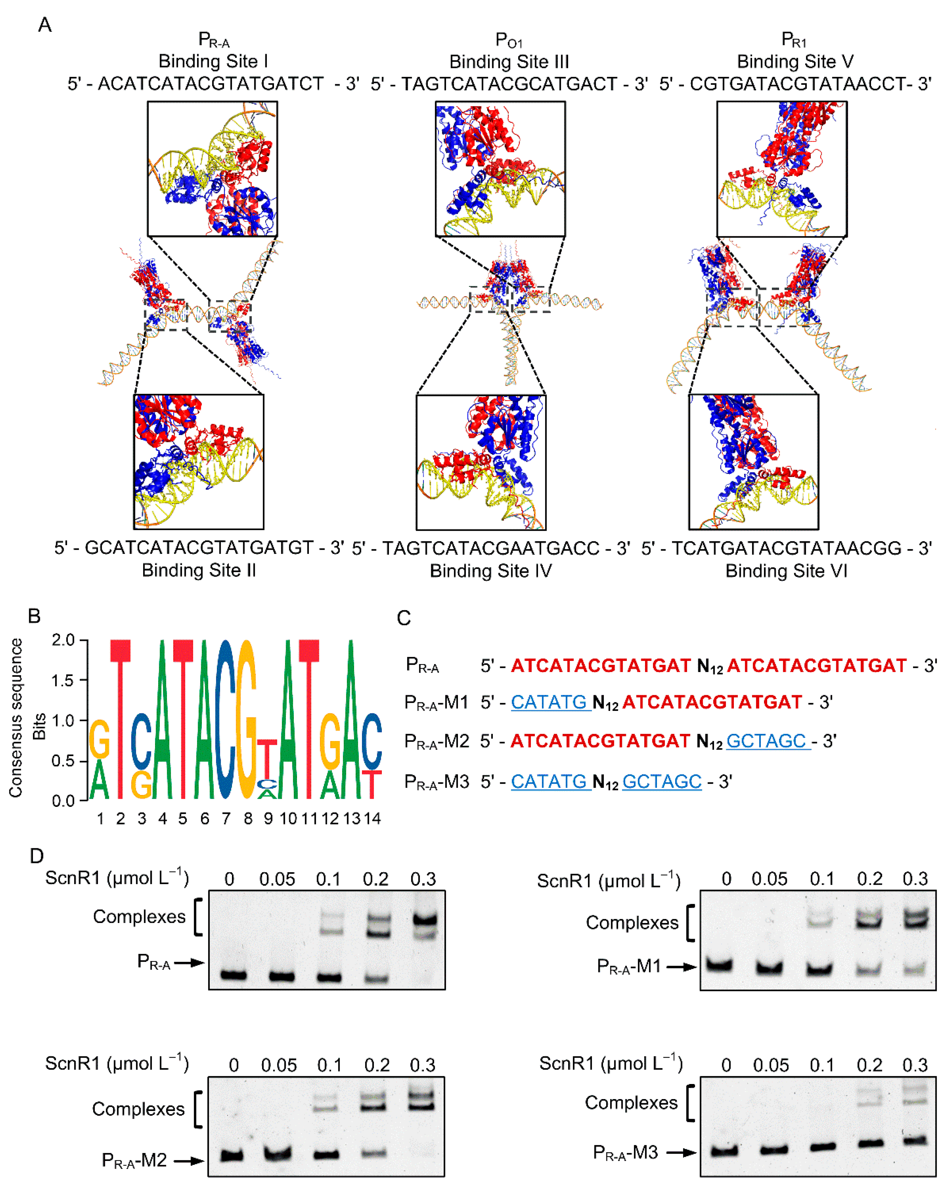 Biology 14 00813 g004