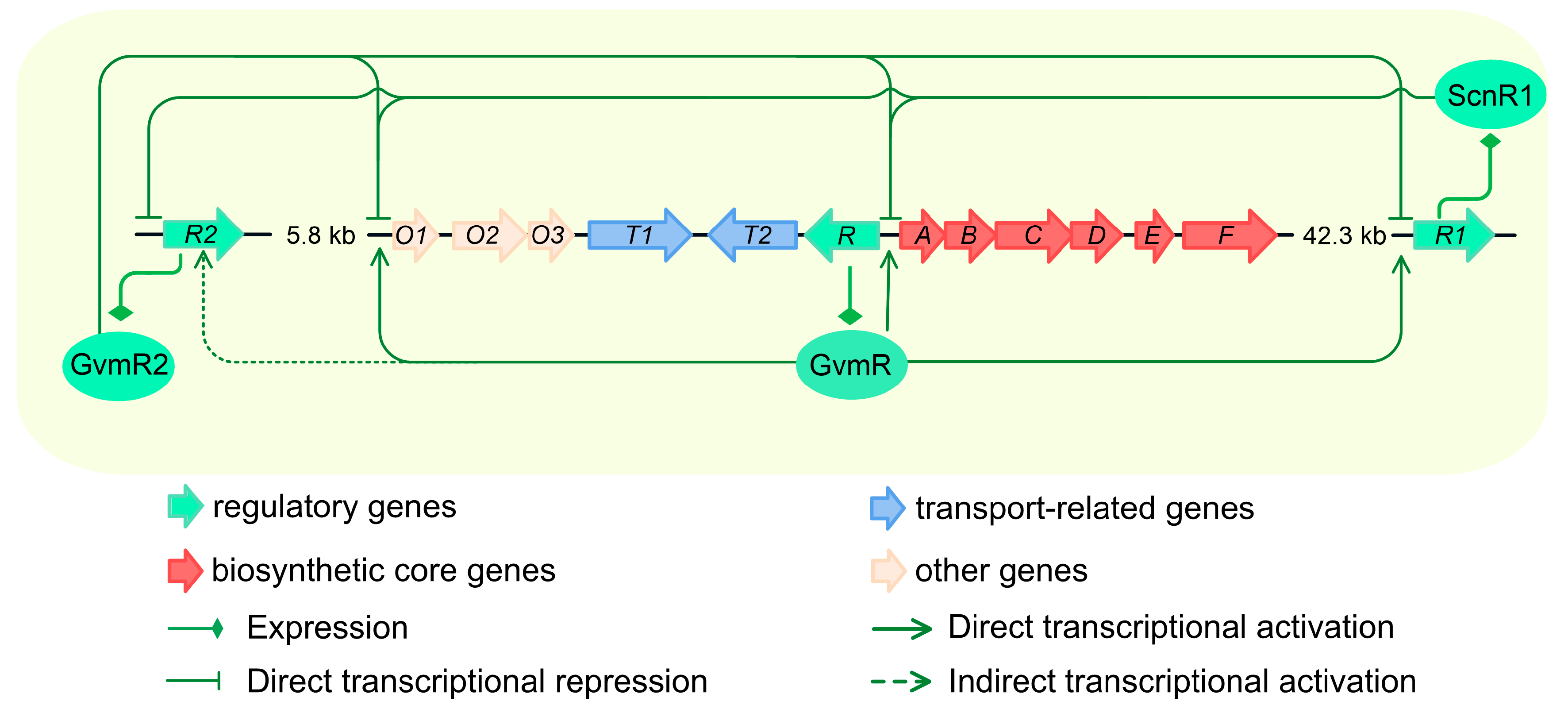 Biology 14 00813 g006