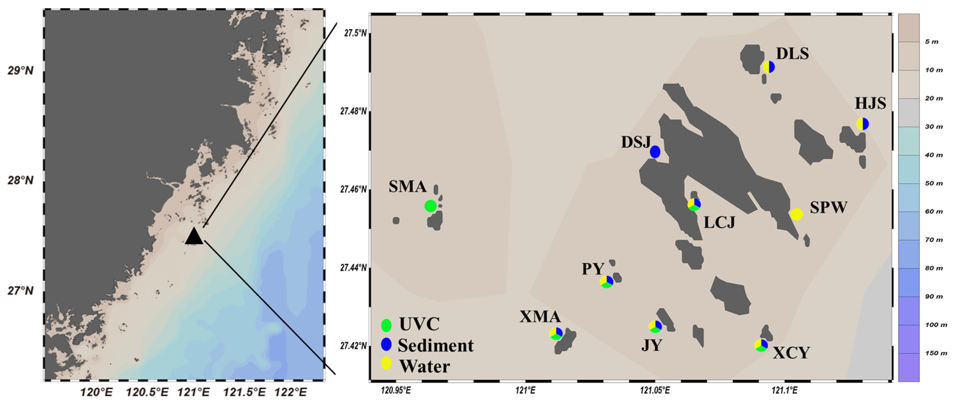 Biology 14 00821 g001