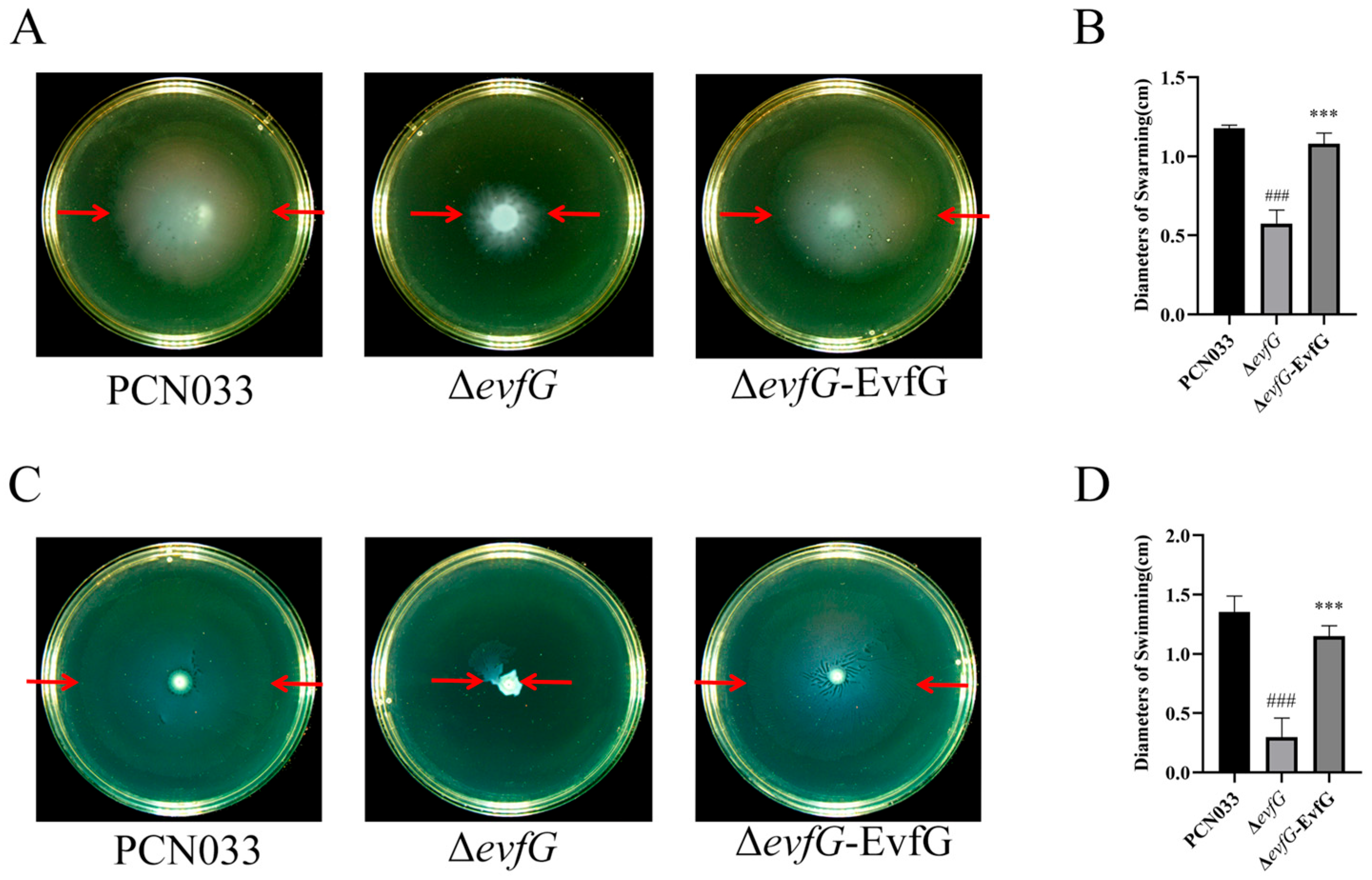 Biology 14 00822 g001