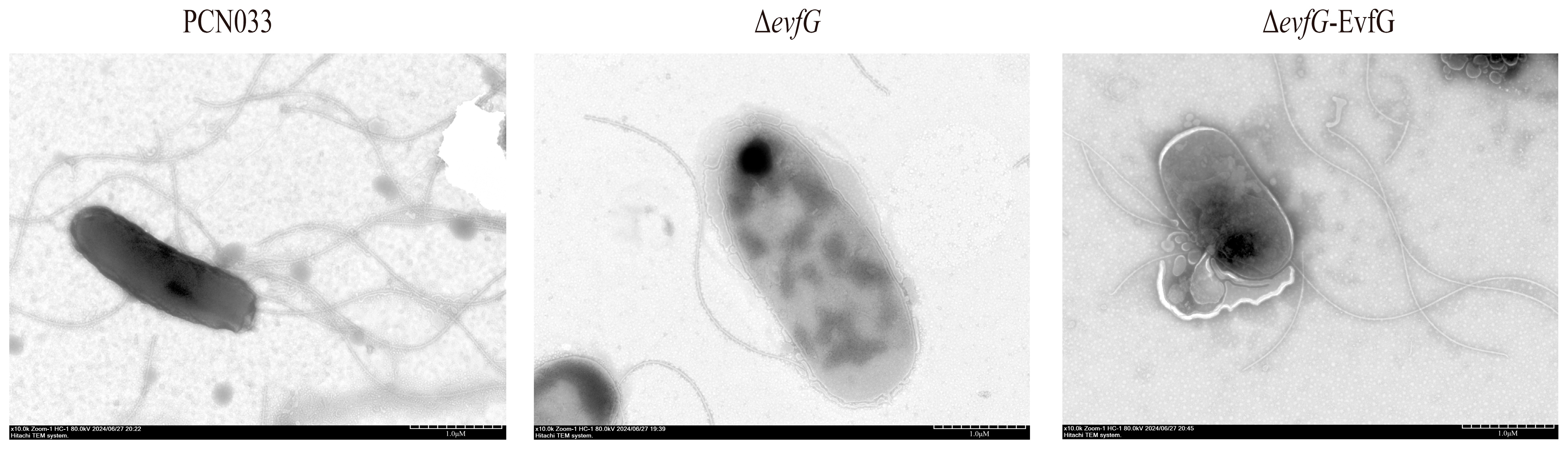 Biology 14 00822 g002