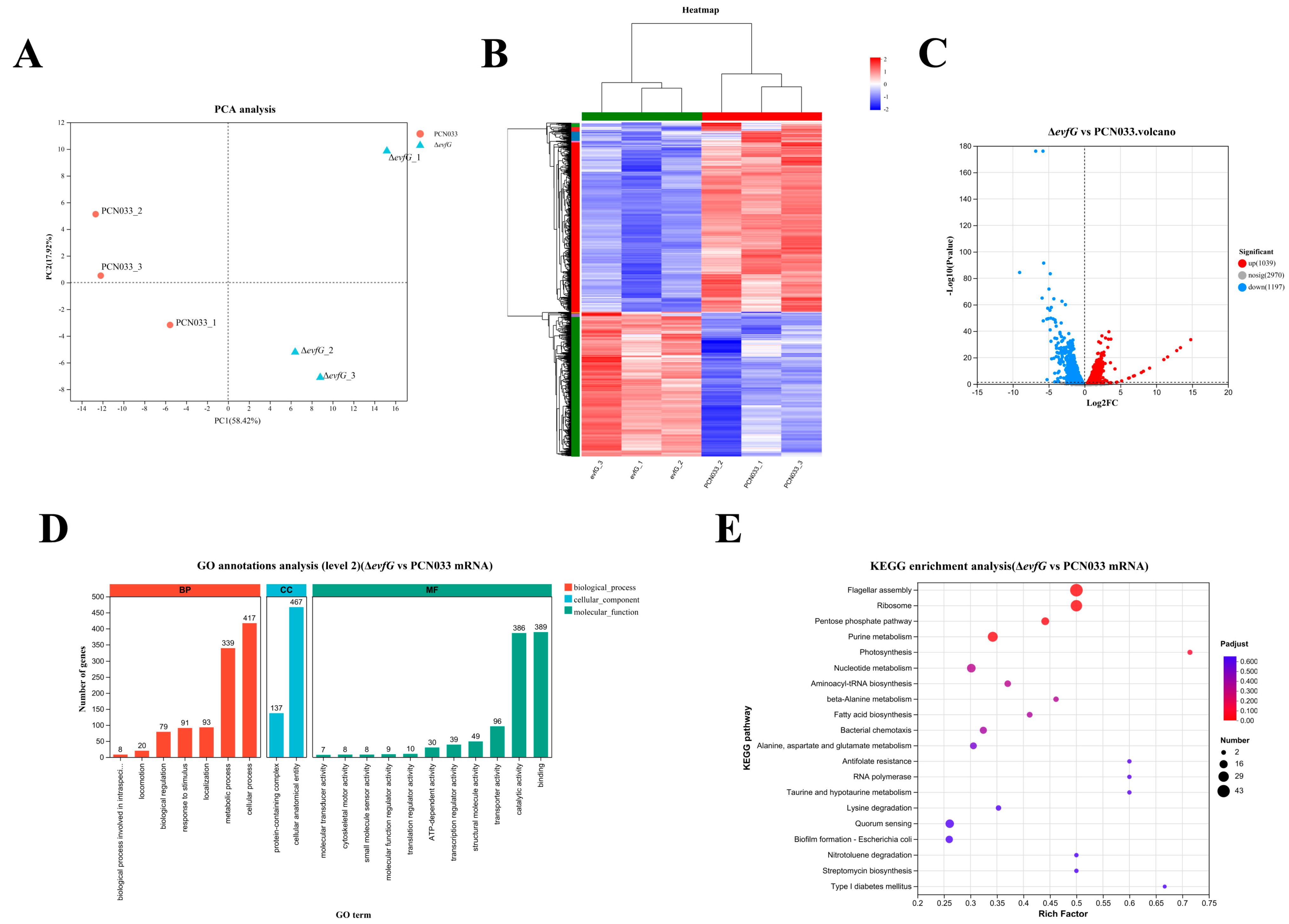 Biology 14 00822 g004