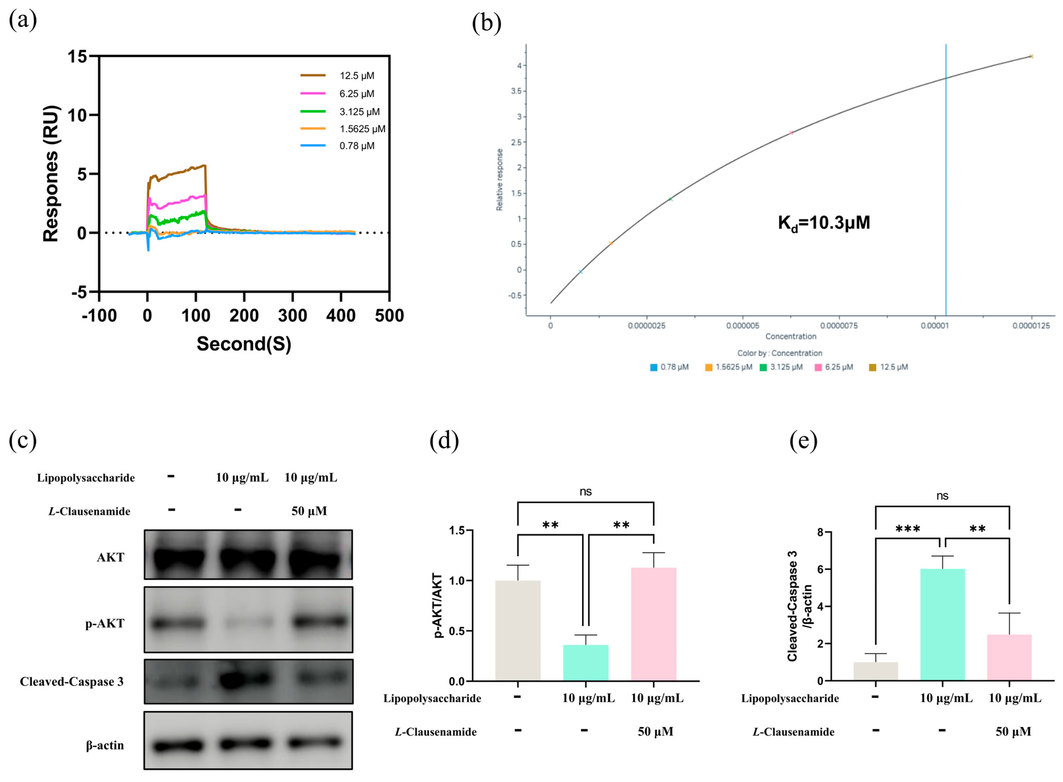 Biology 14 00836 g008