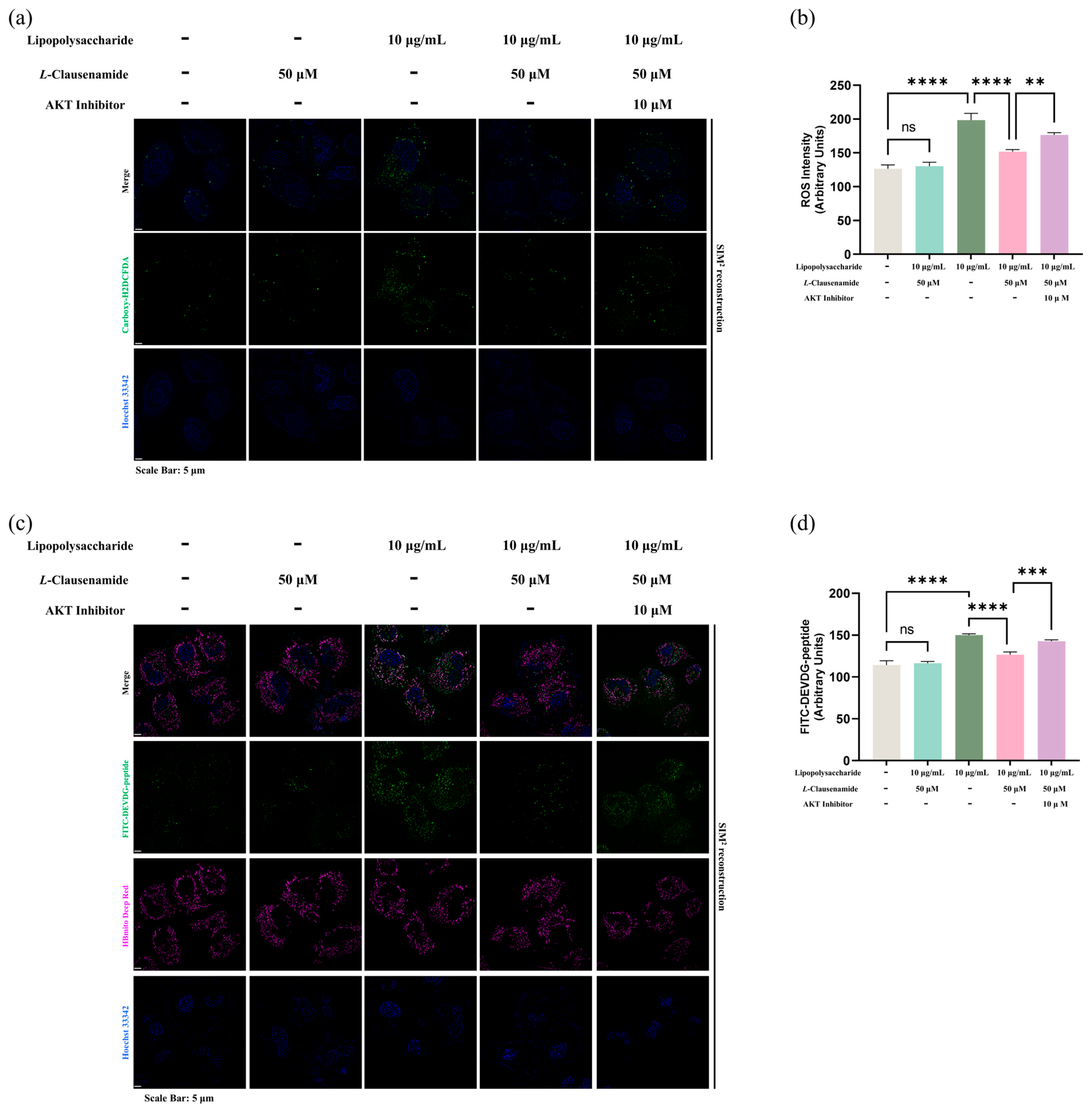 Biology 14 00836 g009