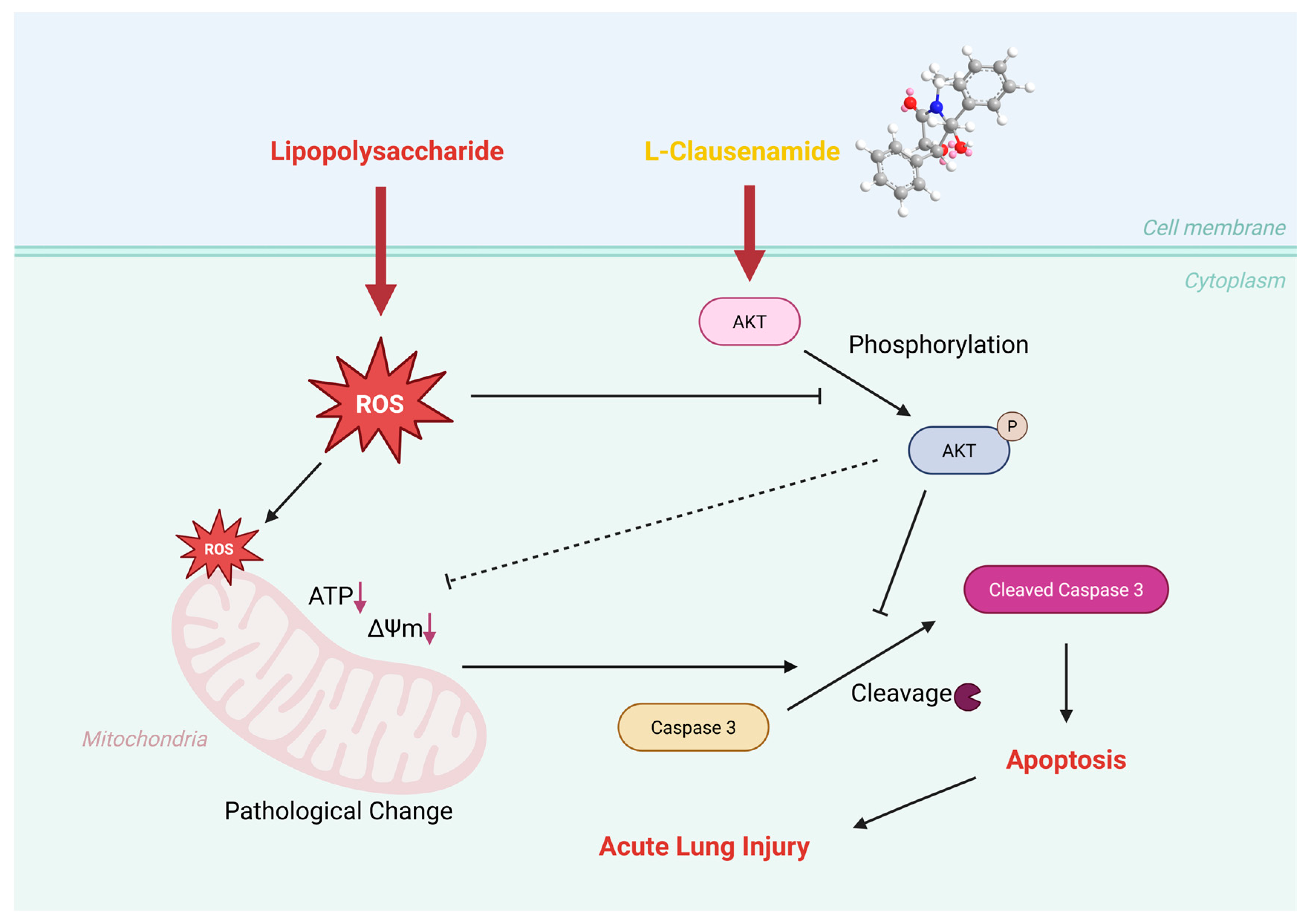Biology 14 00836 g011
