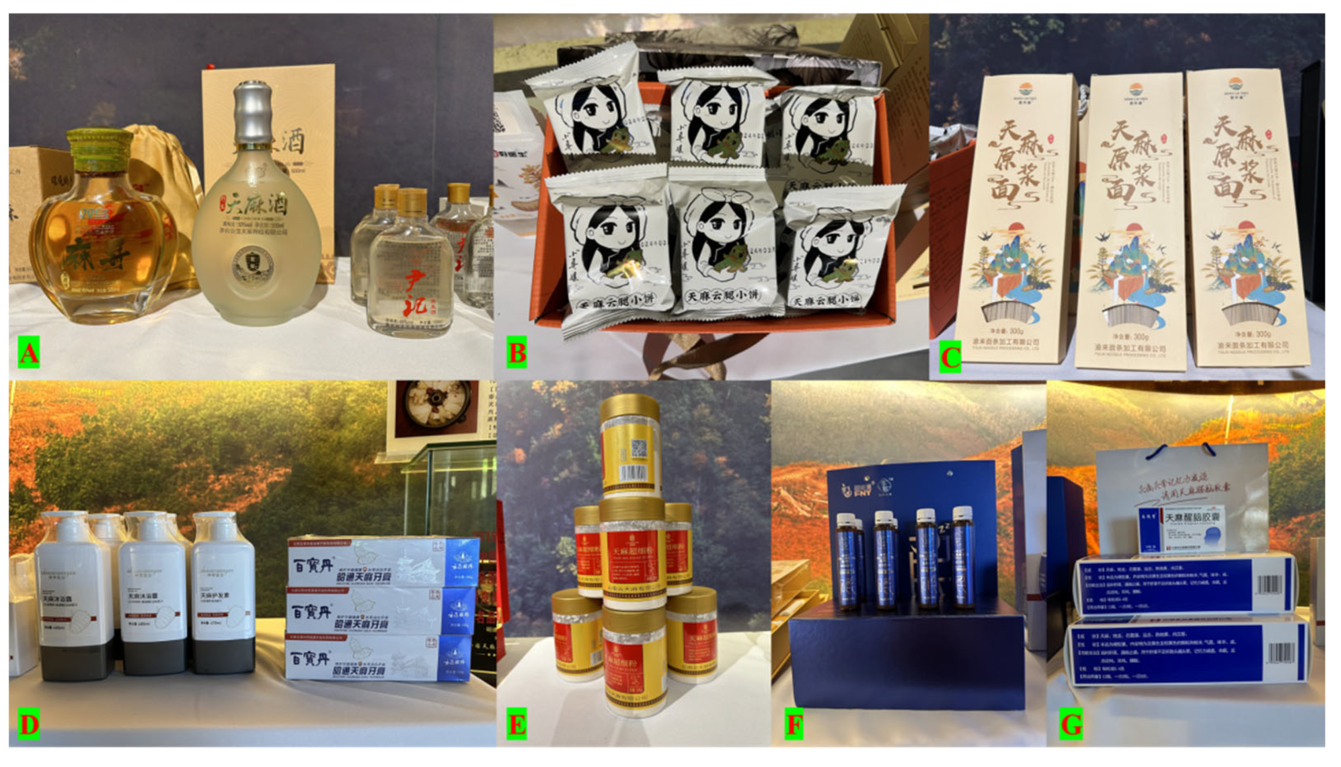 Biology 14 00846 g006