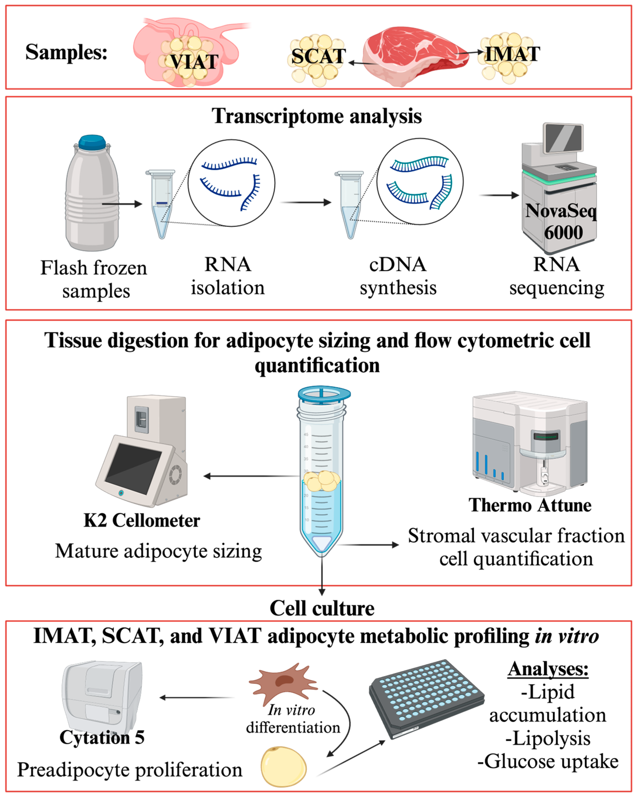 Biology 14 00848 g001