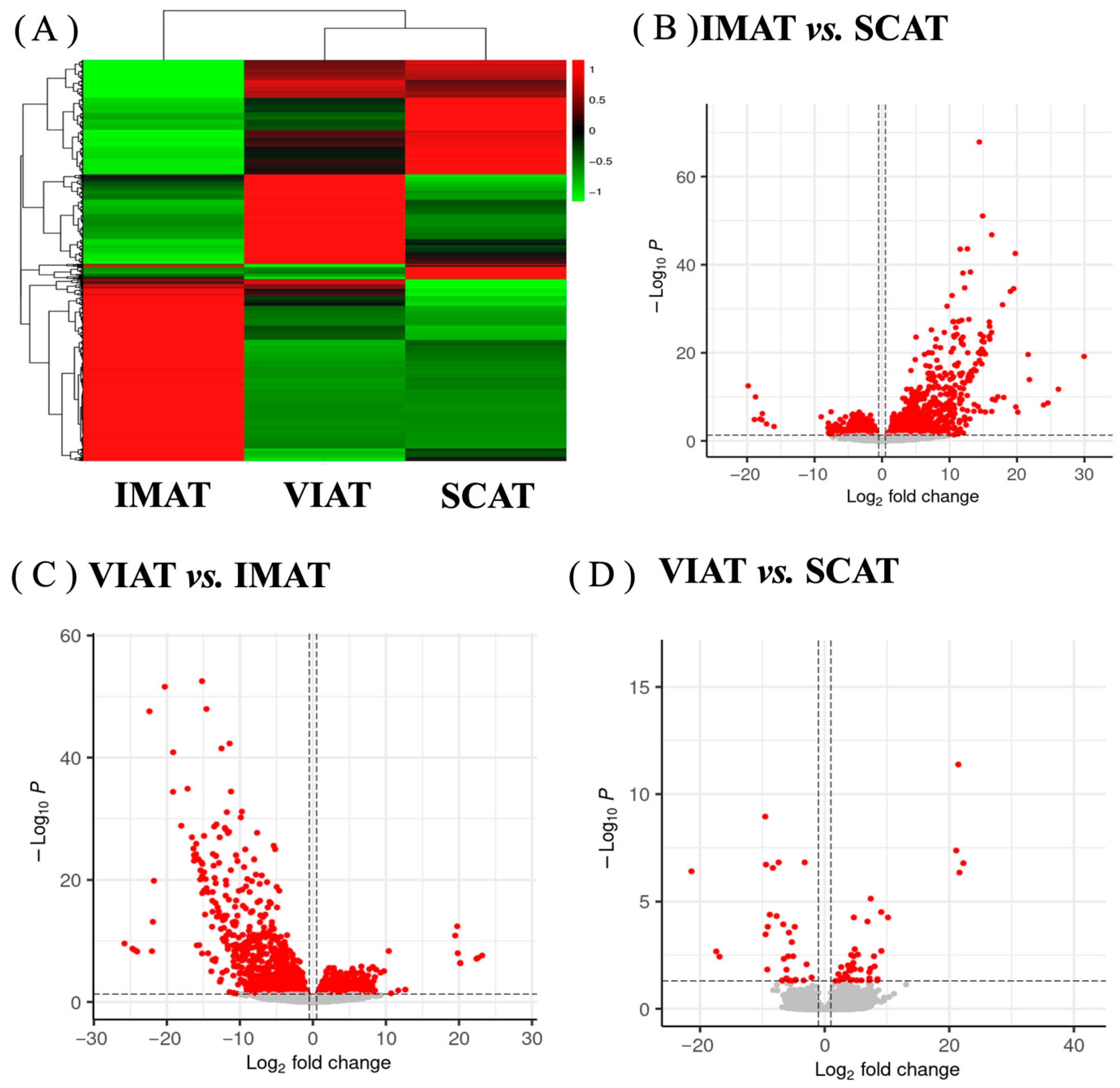 Biology 14 00848 g002