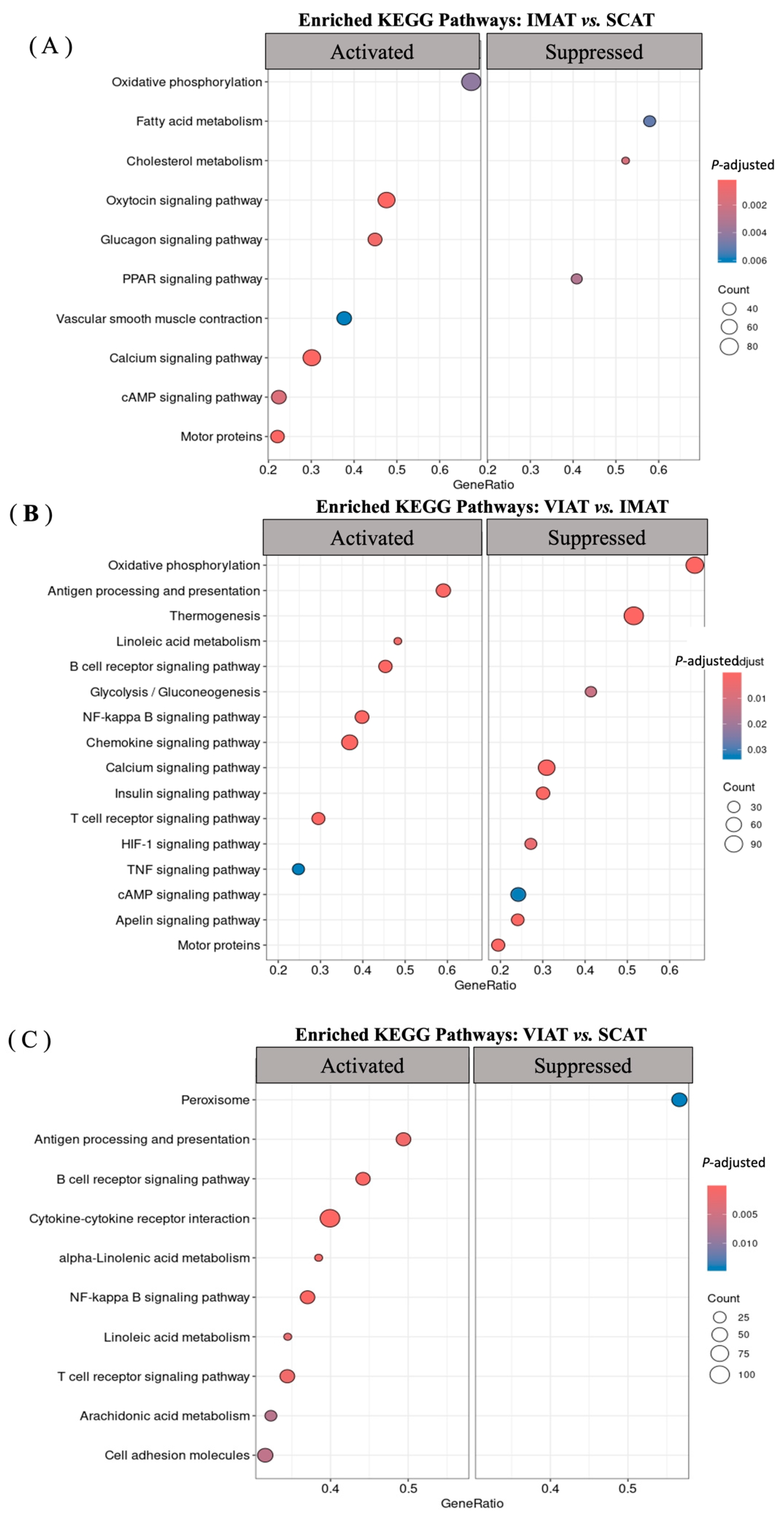 Biology 14 00848 g003
