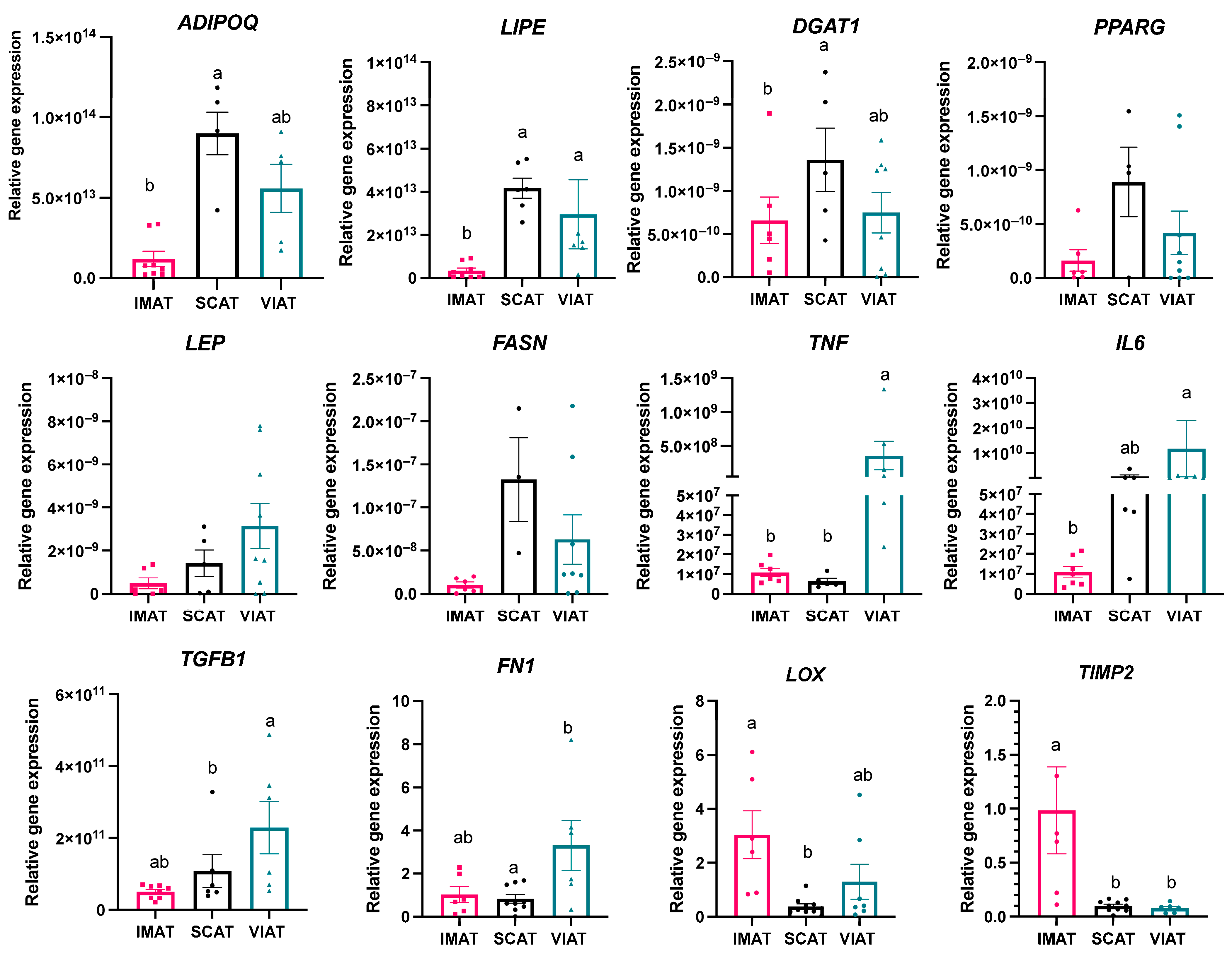 Biology 14 00848 g004