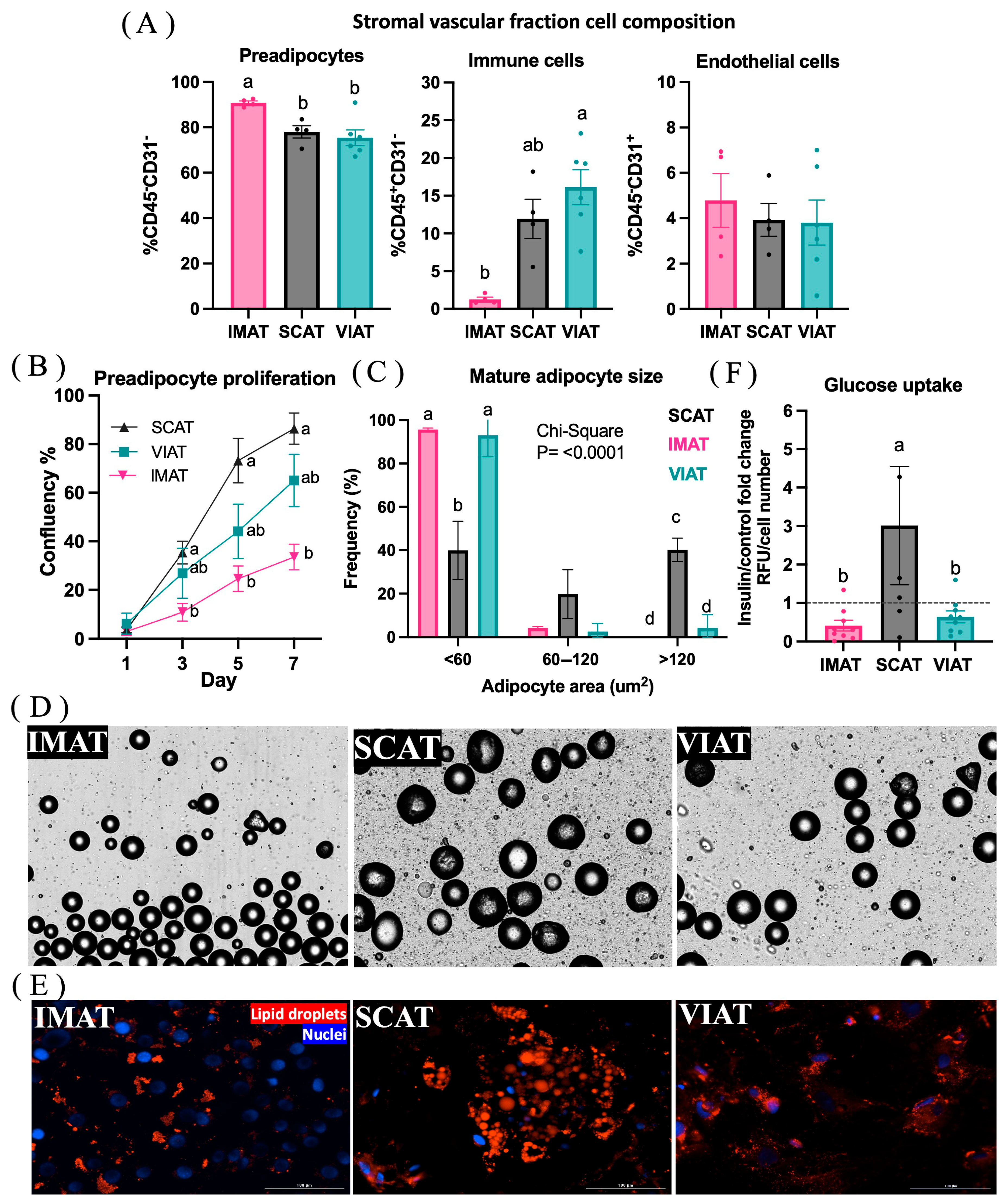 Biology 14 00848 g005
