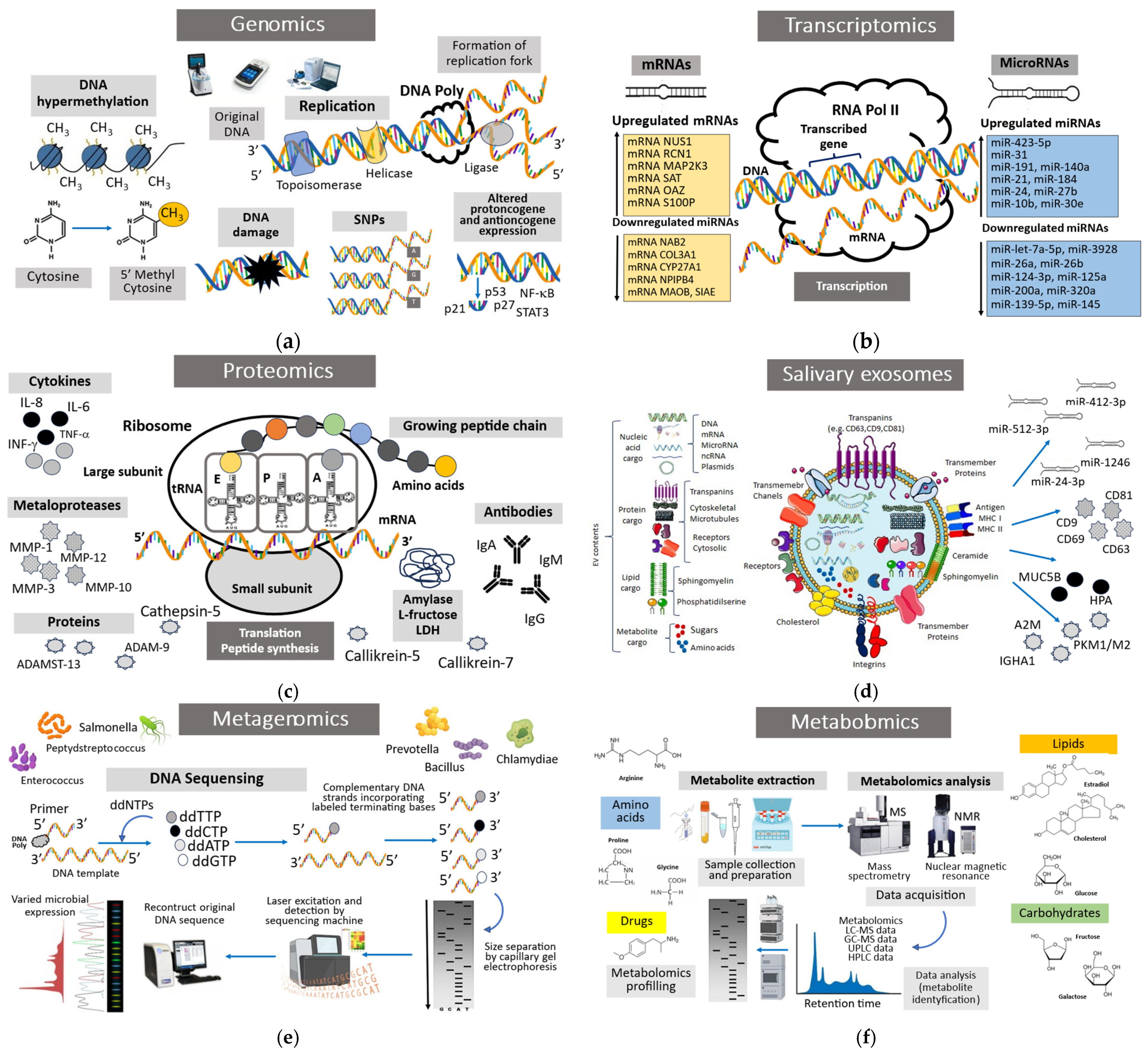 Biology 14 00852 g001