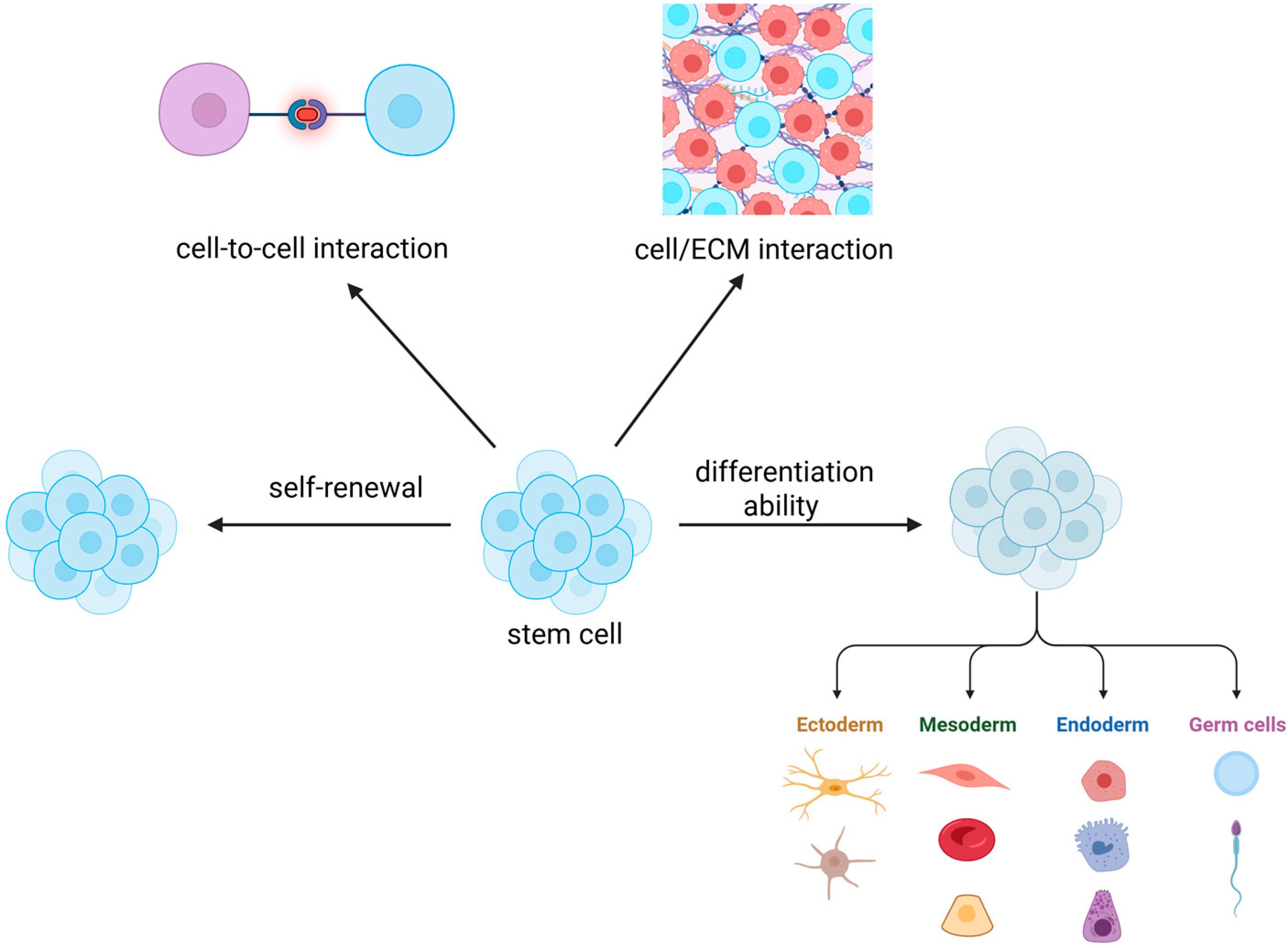 Biology 14 00875 g001