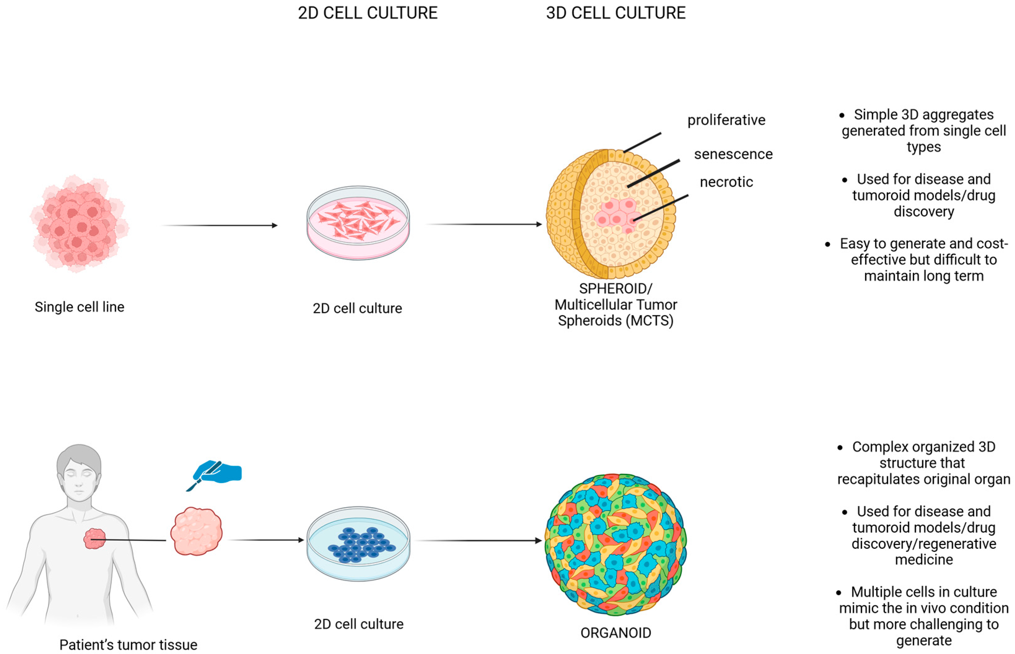 Biology 14 00875 g002