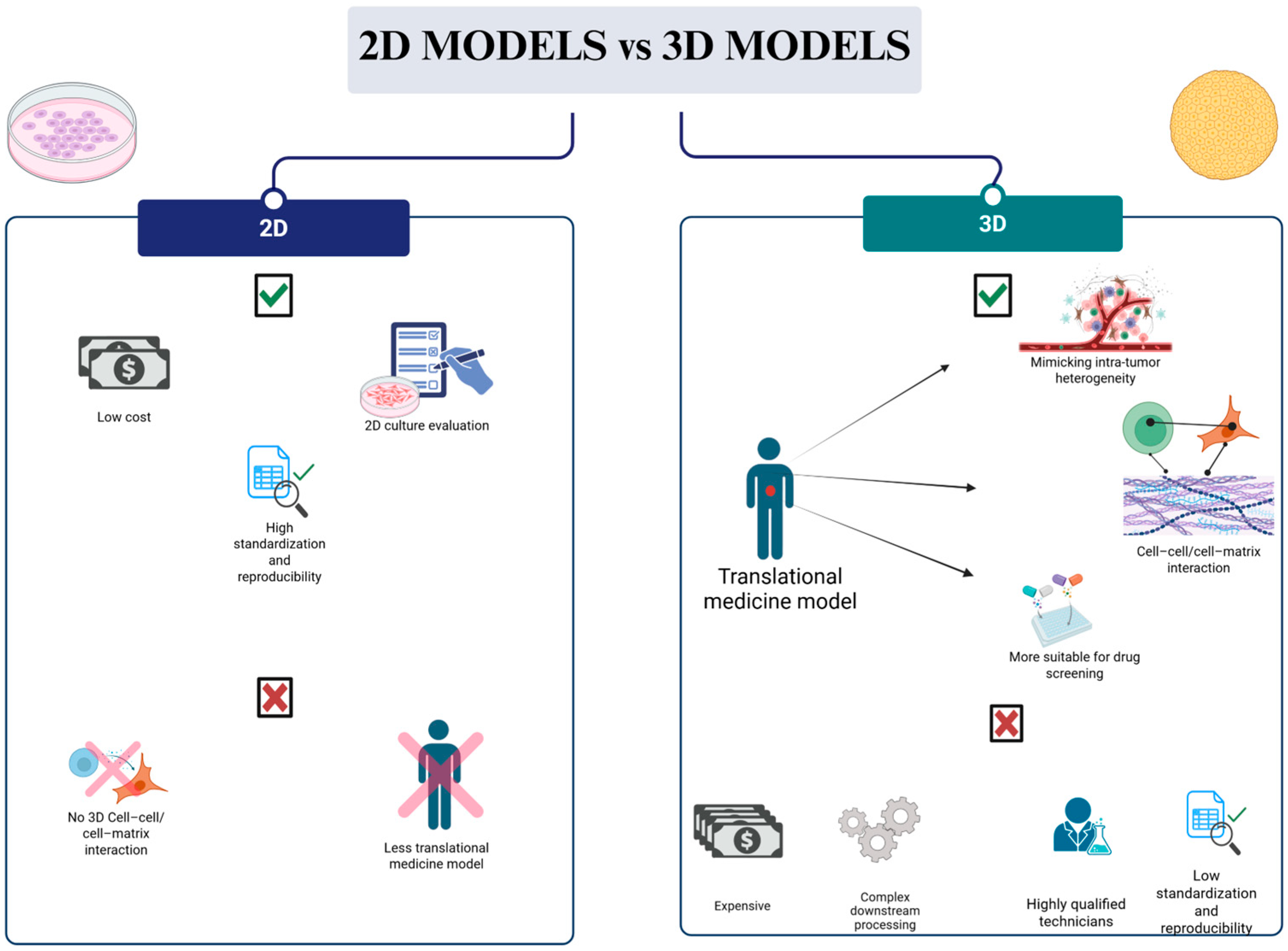 Biology 14 00875 g003