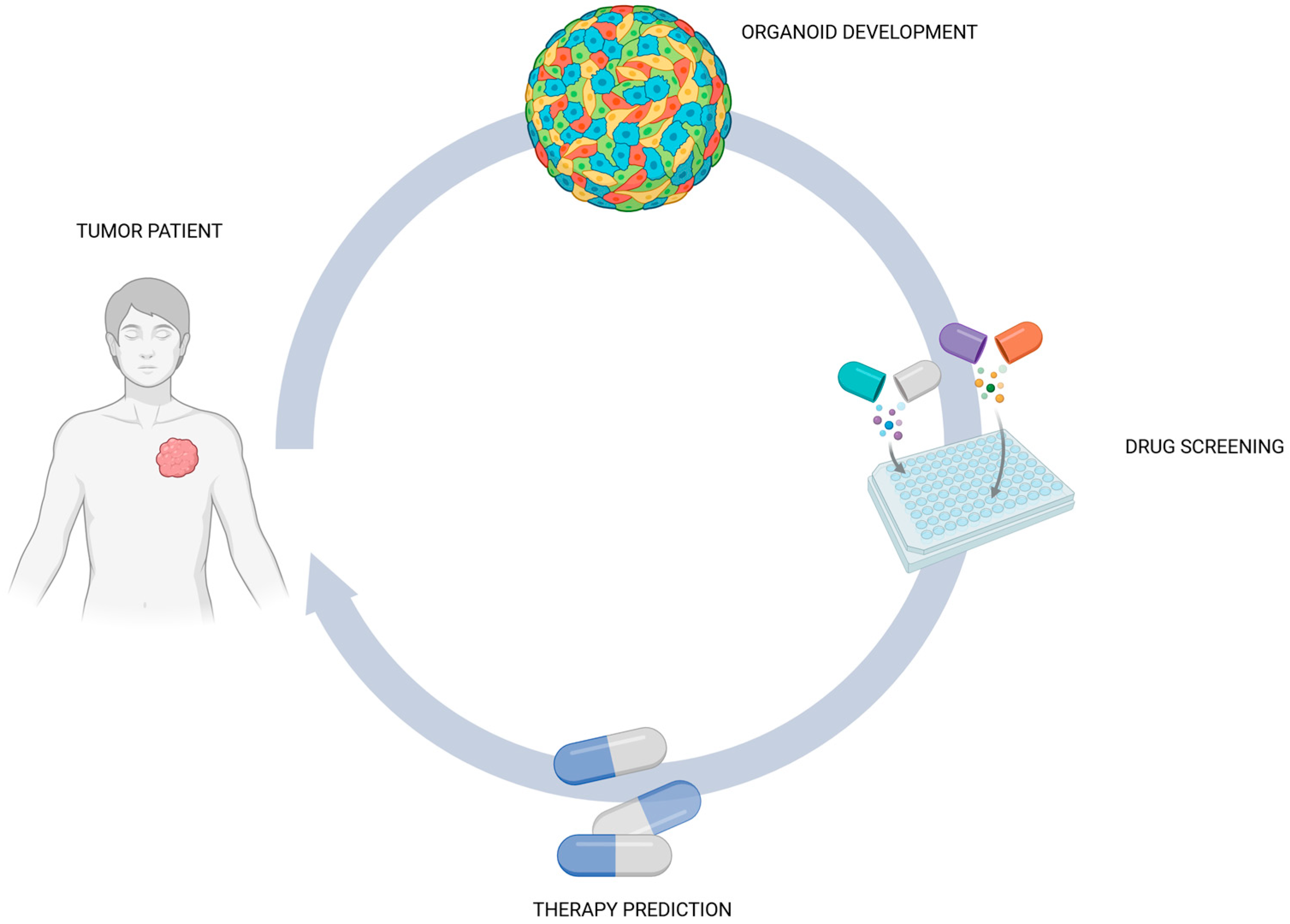 Biology 14 00875 g004