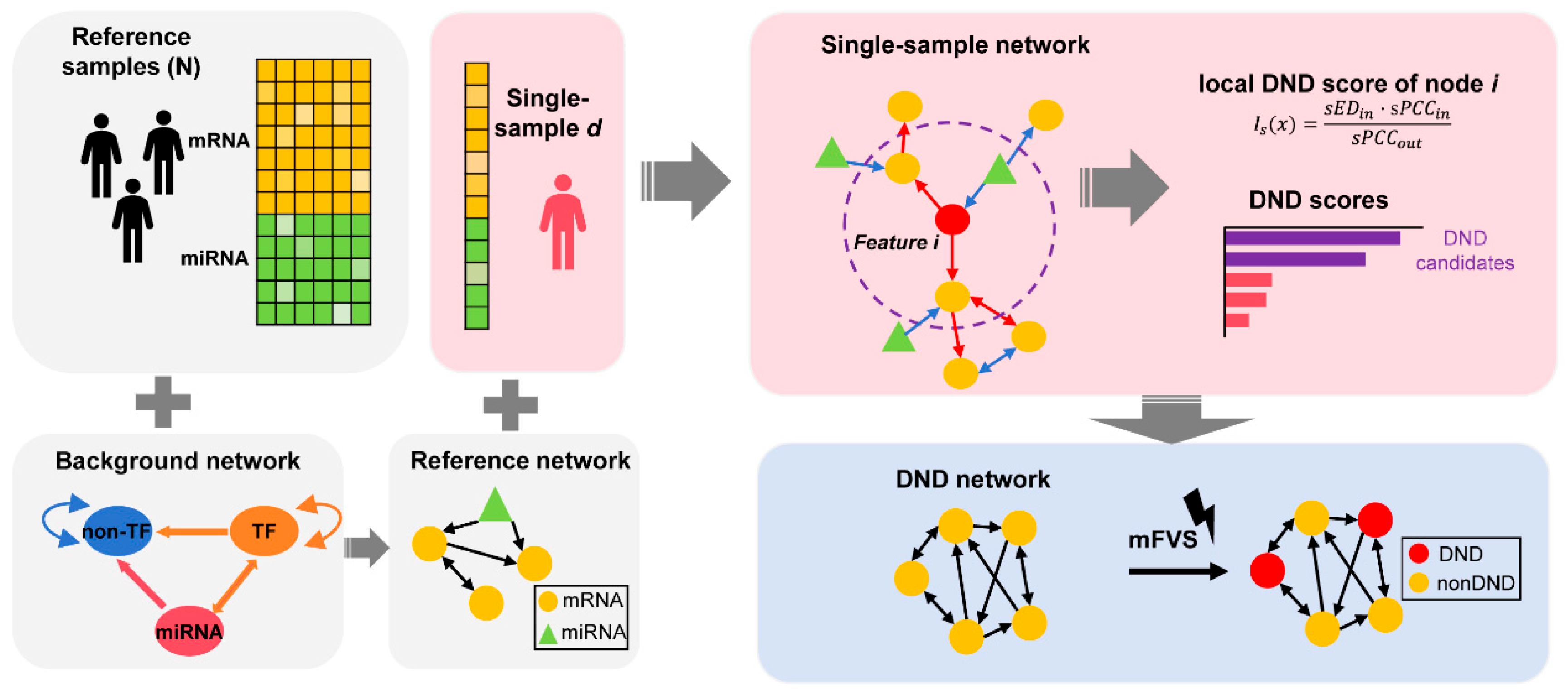 Biology 14 00876 g001