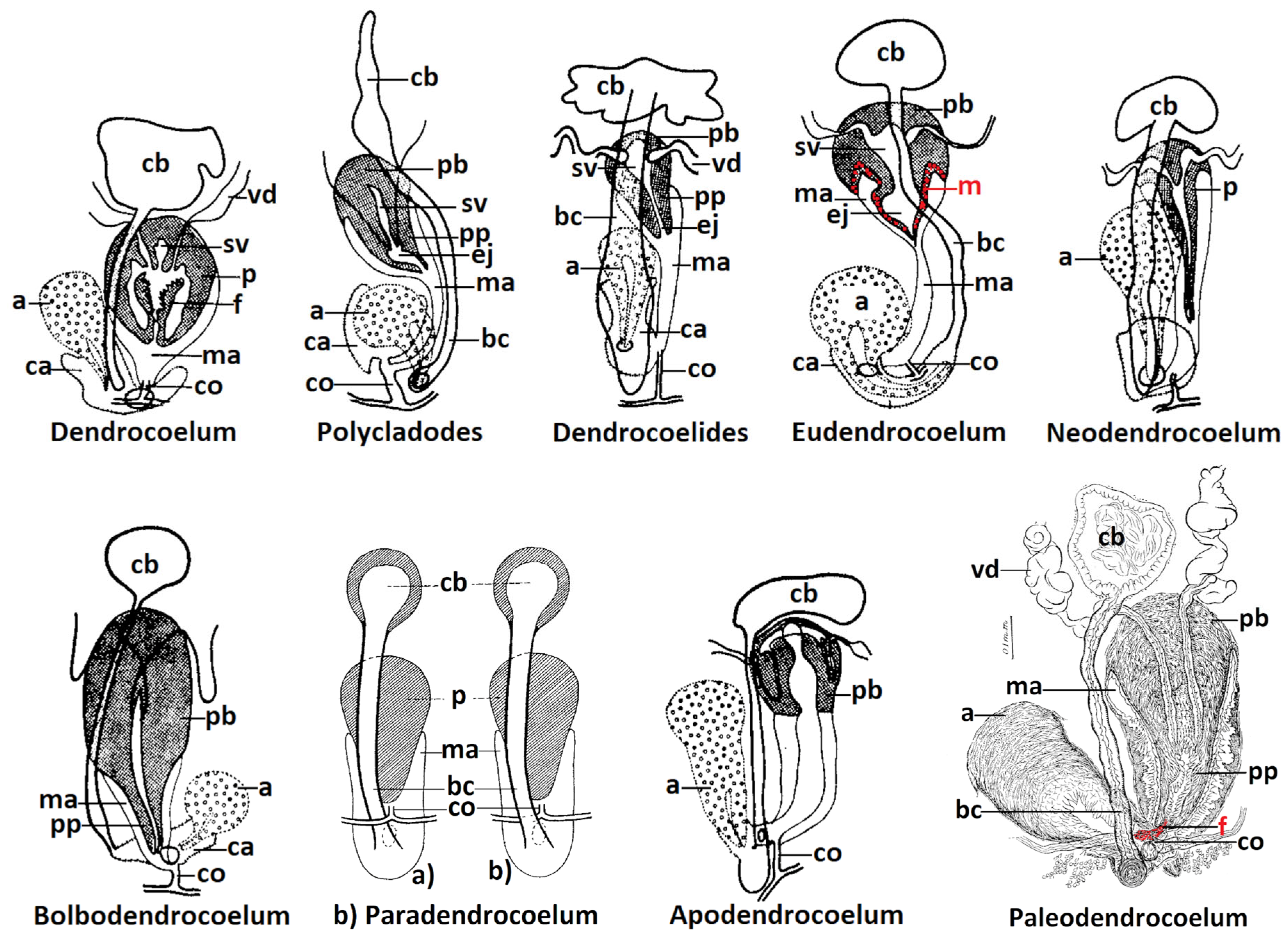 Biology 14 00887 g001 Biology 14 00887 g001