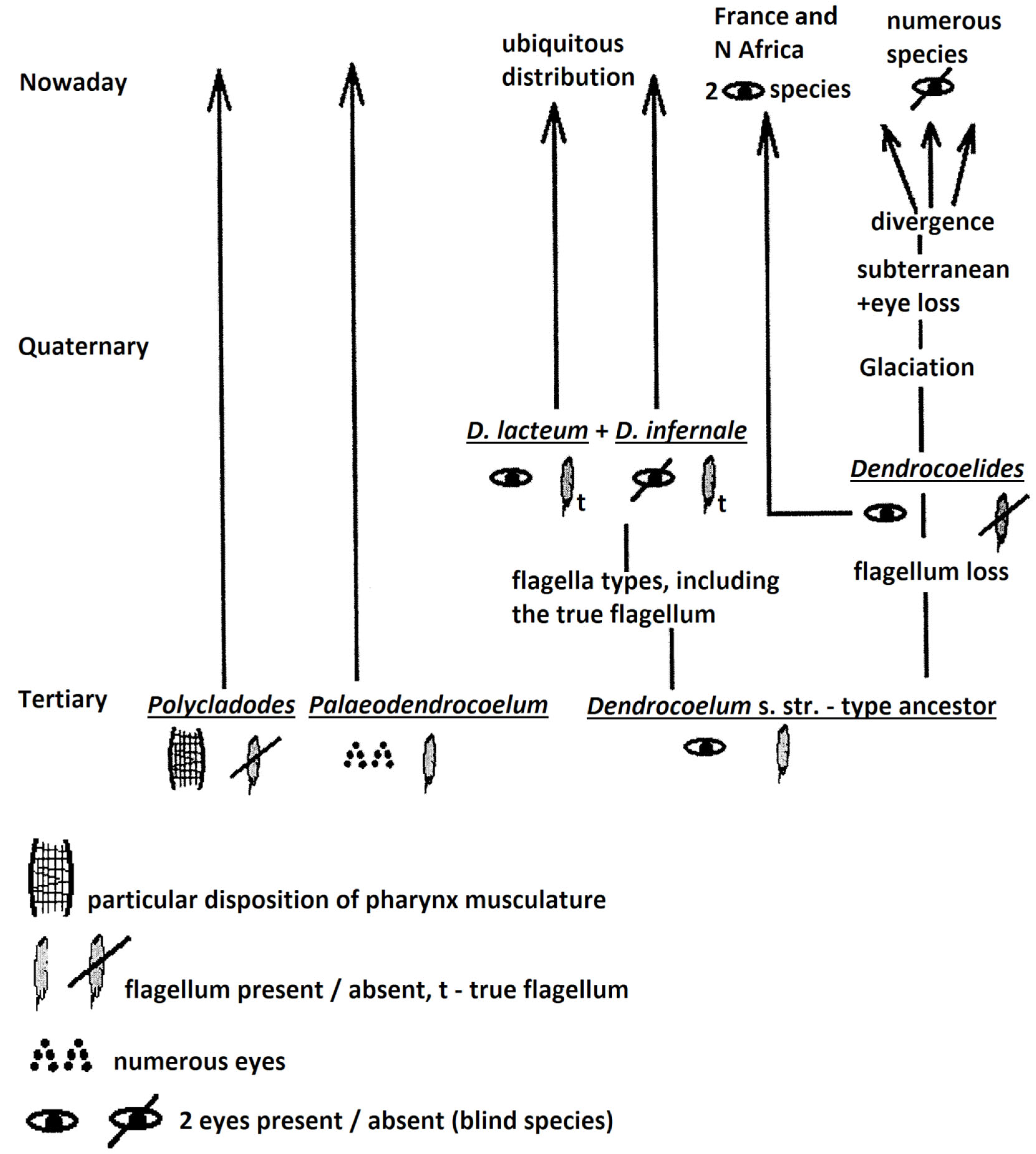Biology 14 00887 g003 Biology 14 00887 g003