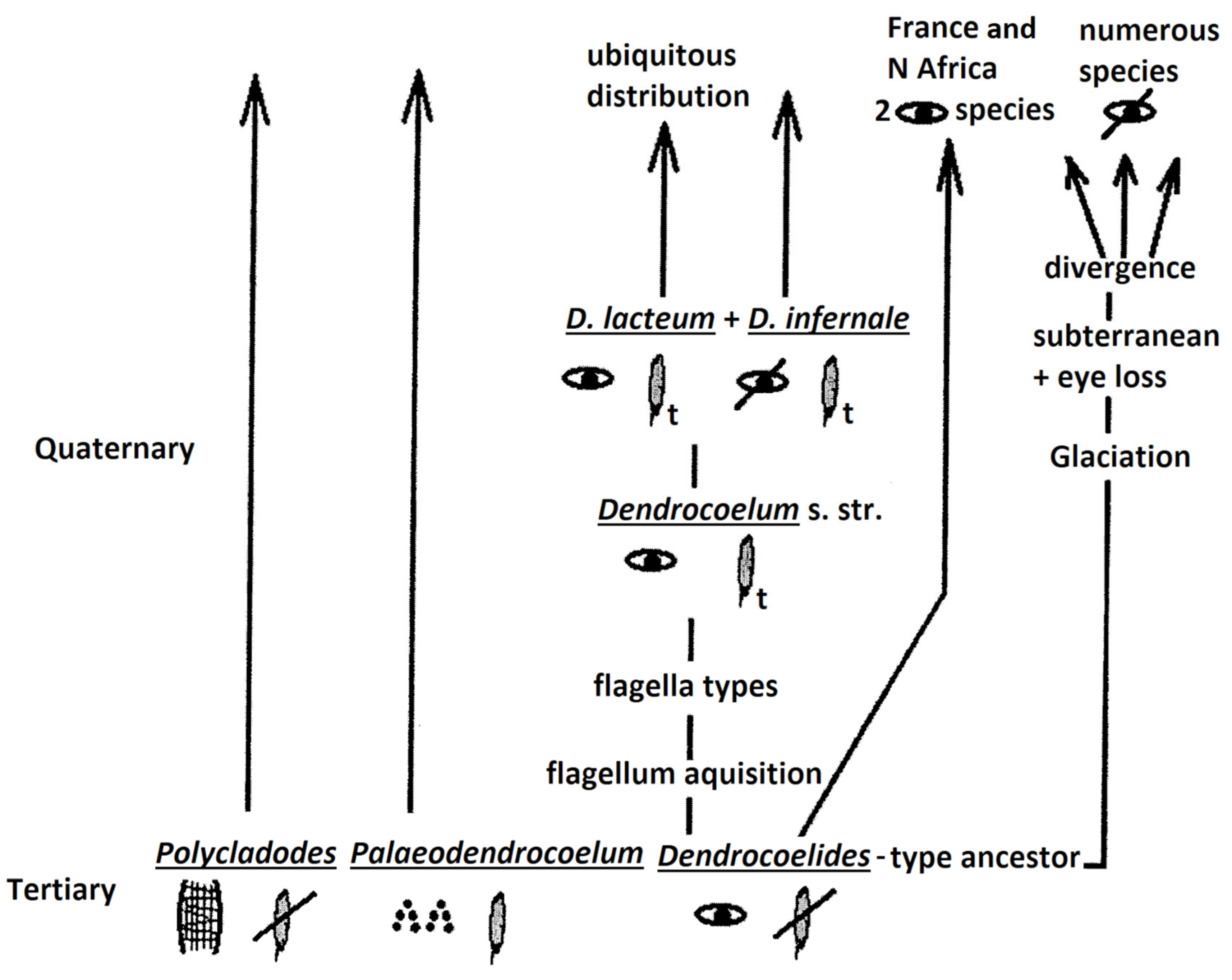 Biology 14 00887 g004 Biology 14 00887 g004