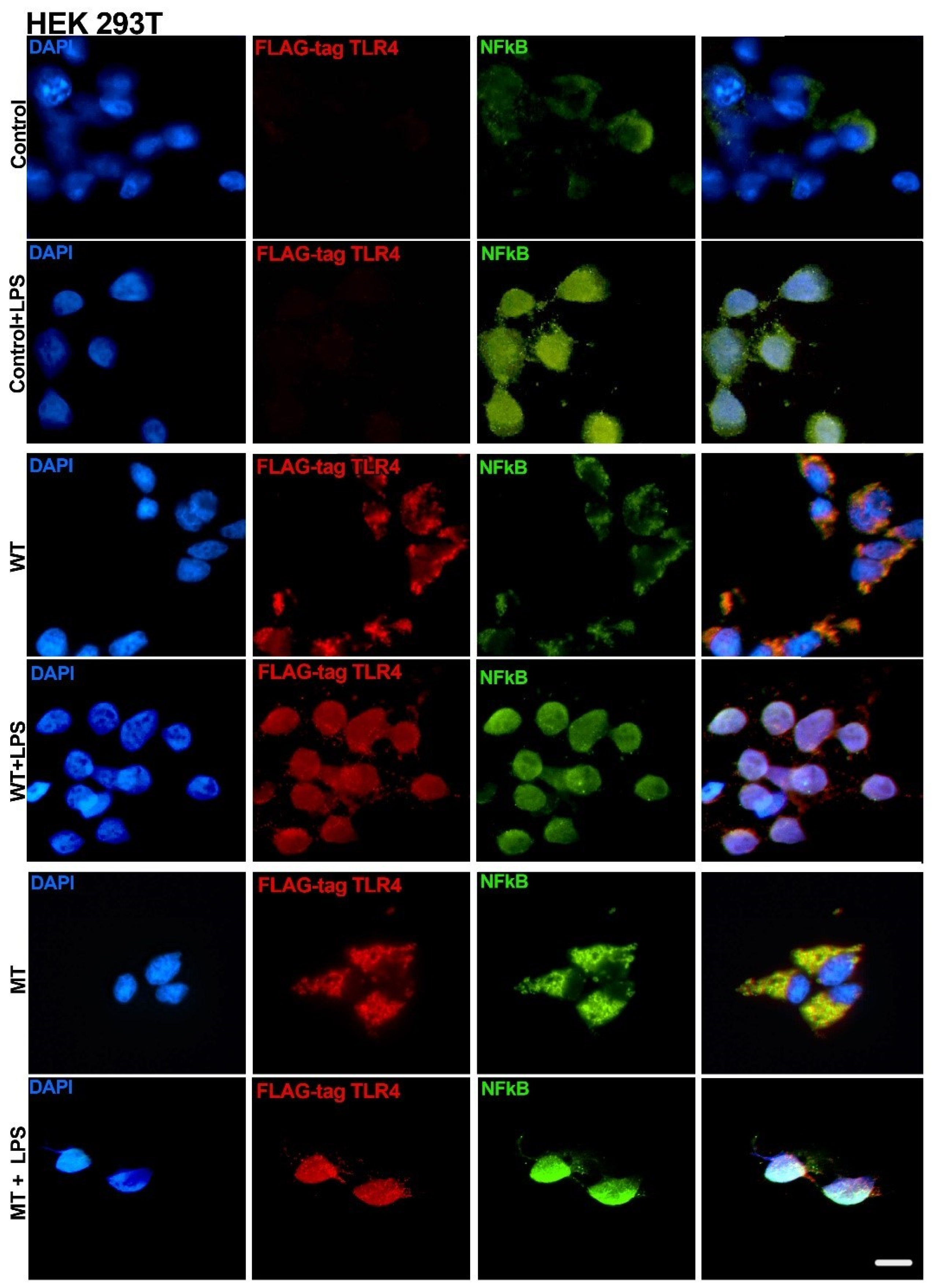 Biology 14 00894 g004